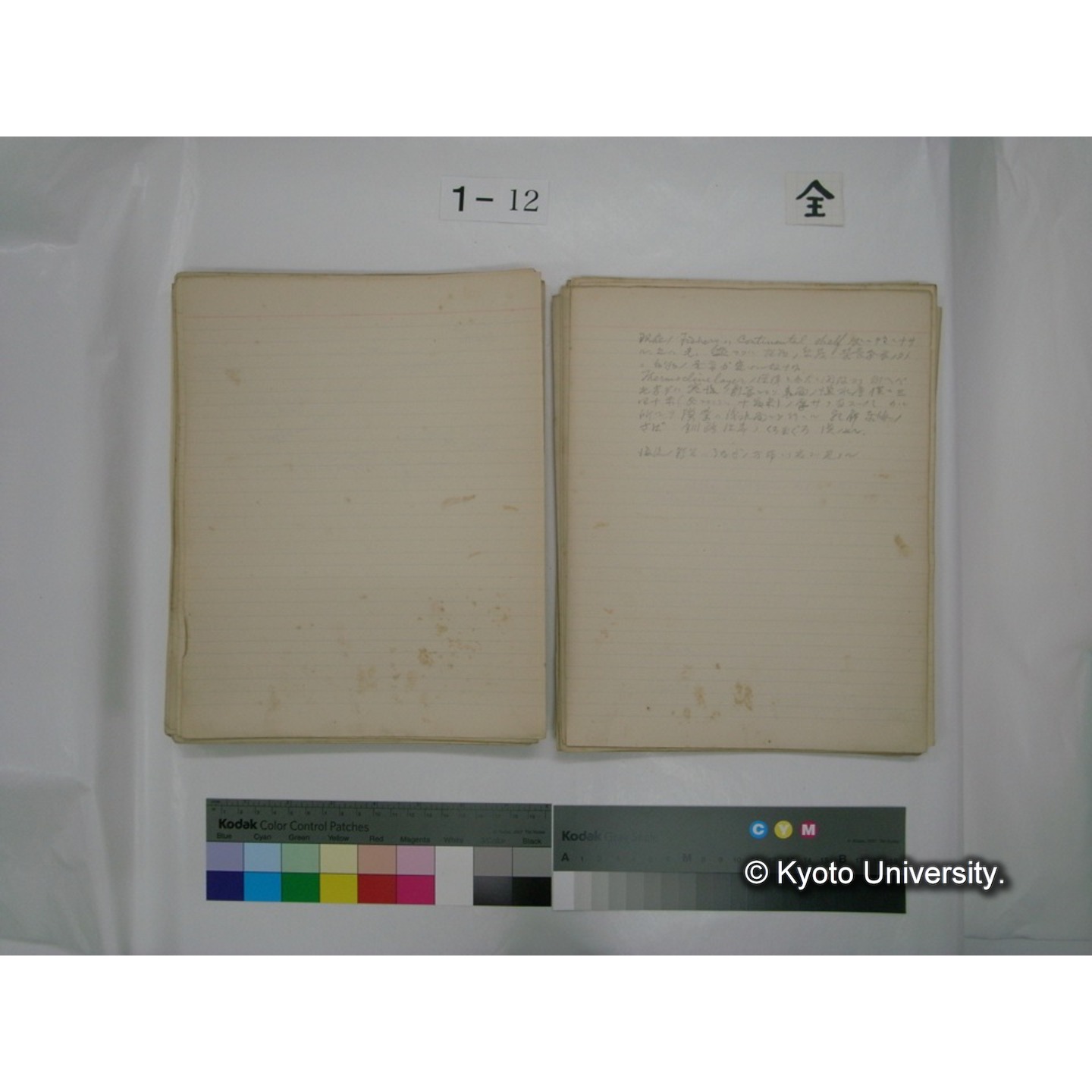 (水生生物) [直筆原稿] / (川村多實二) (108)