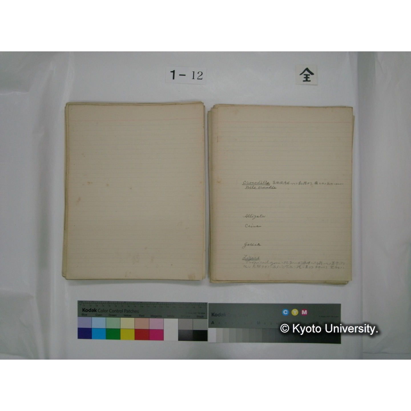 (水生生物) [直筆原稿] / (川村多實二) (109)