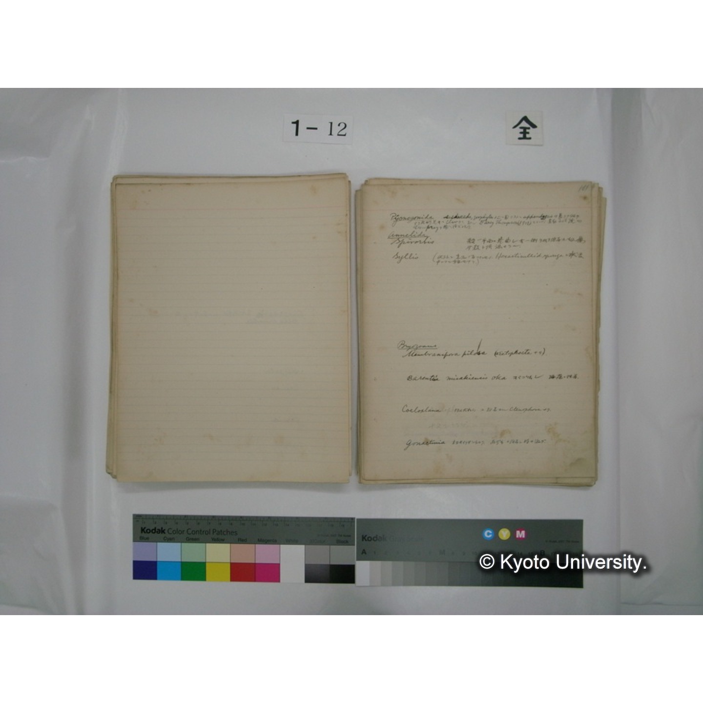 (水生生物) [直筆原稿] / (川村多實二) (110)