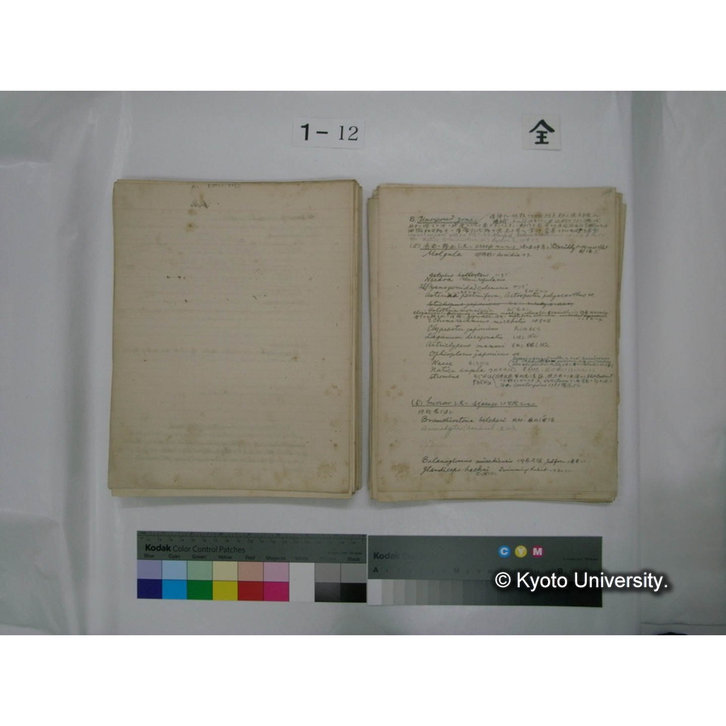 (水生生物) [直筆原稿] / (川村多實二) (112)