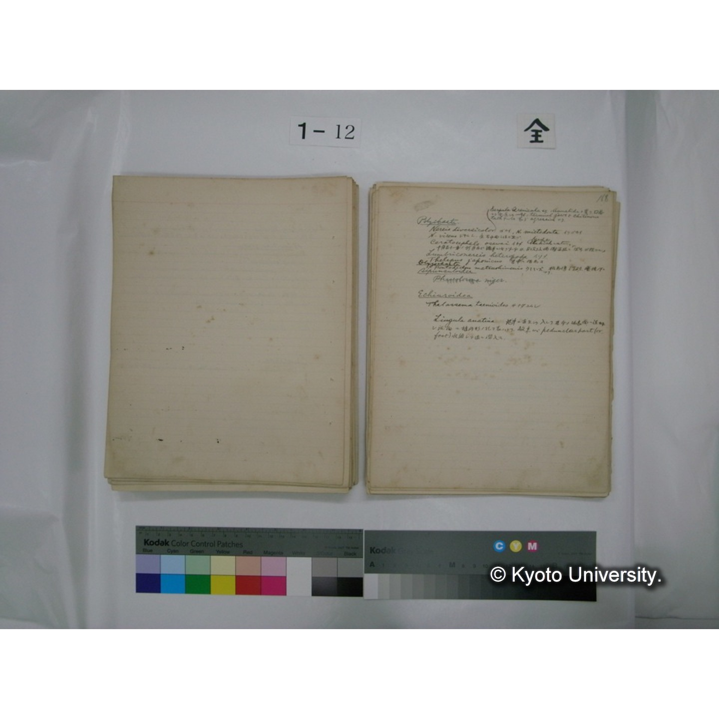 (水生生物) [直筆原稿] / (川村多實二) (116)