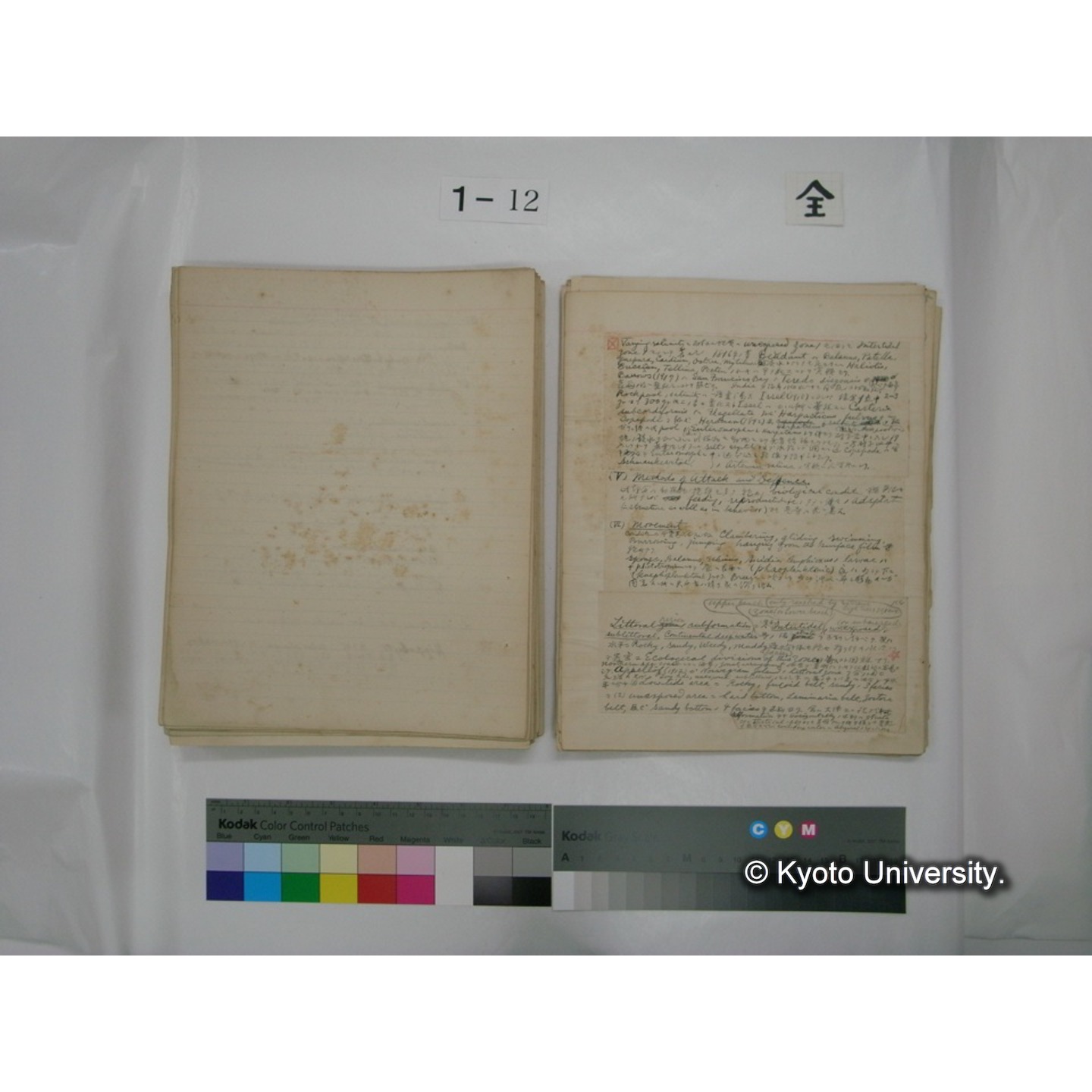 (水生生物) [直筆原稿] / (川村多實二) (118)