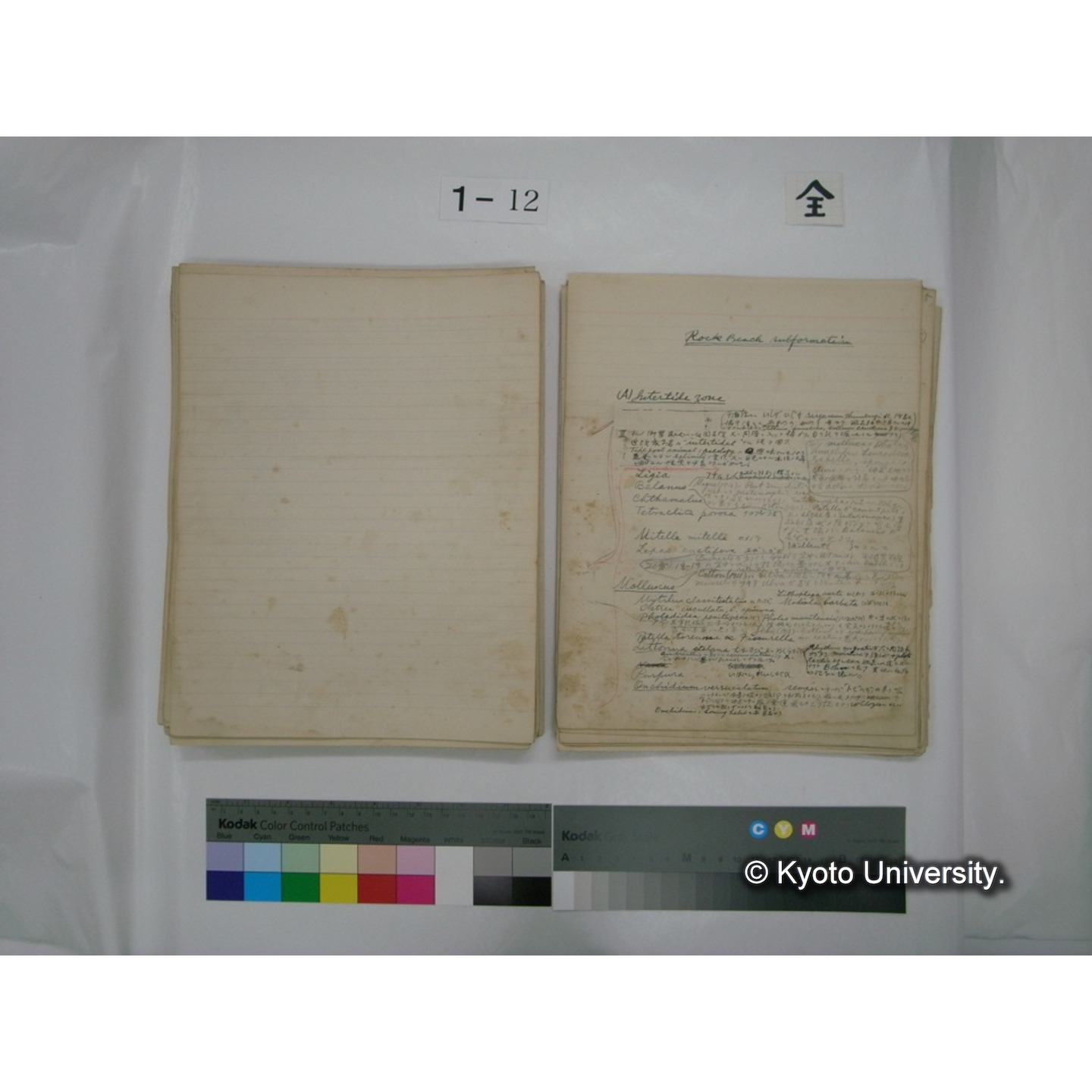 (水生生物) [直筆原稿] / (川村多實二) (119)