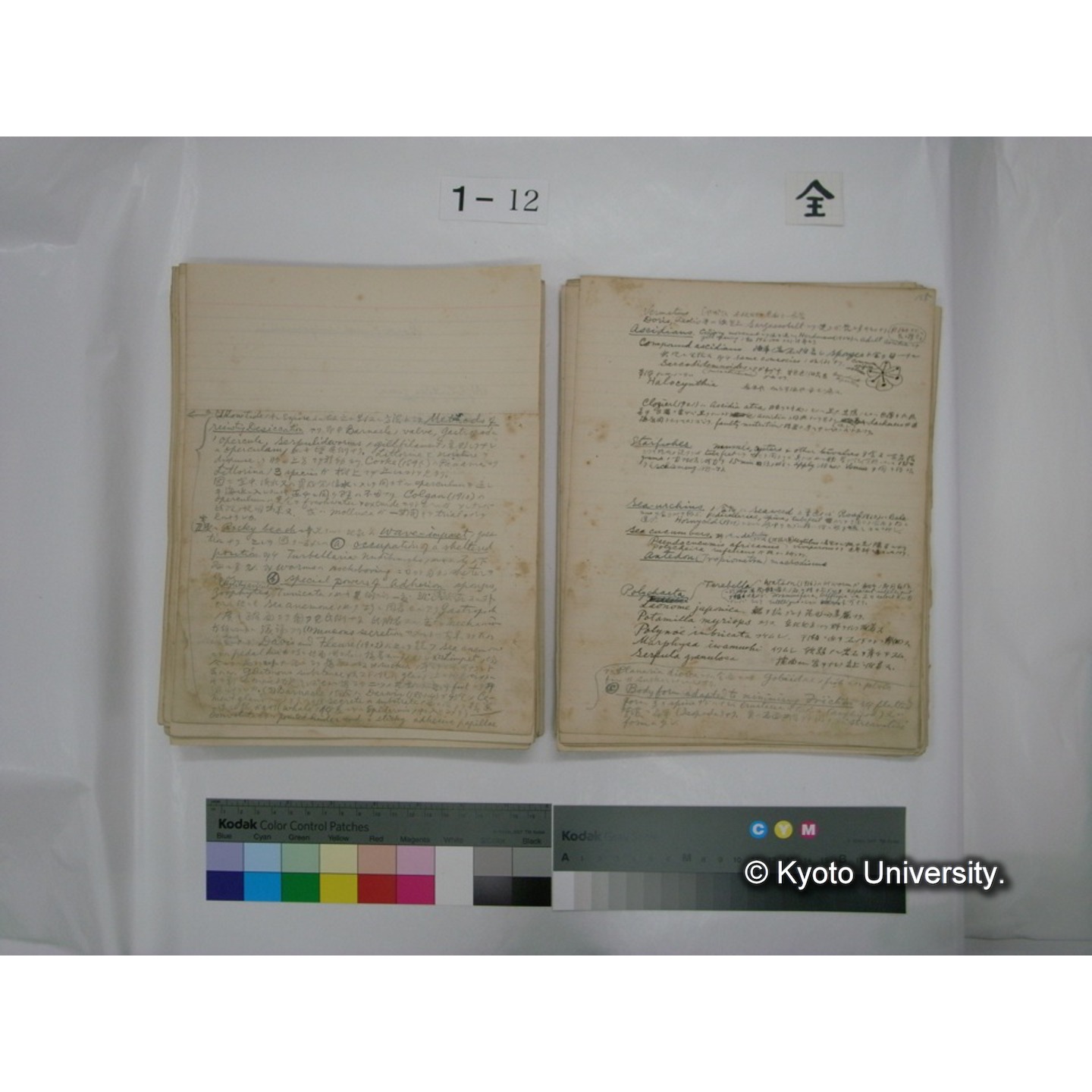 (水生生物) [直筆原稿] / (川村多實二) (120)