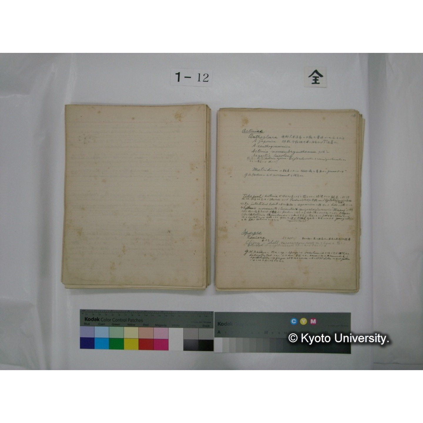 (水生生物) [直筆原稿] / (川村多實二) (121)