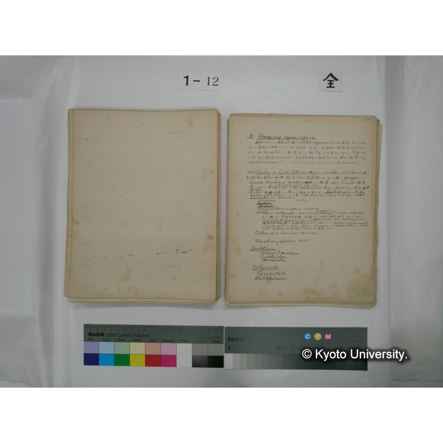 (水生生物) [直筆原稿] / (川村多實二) (122)