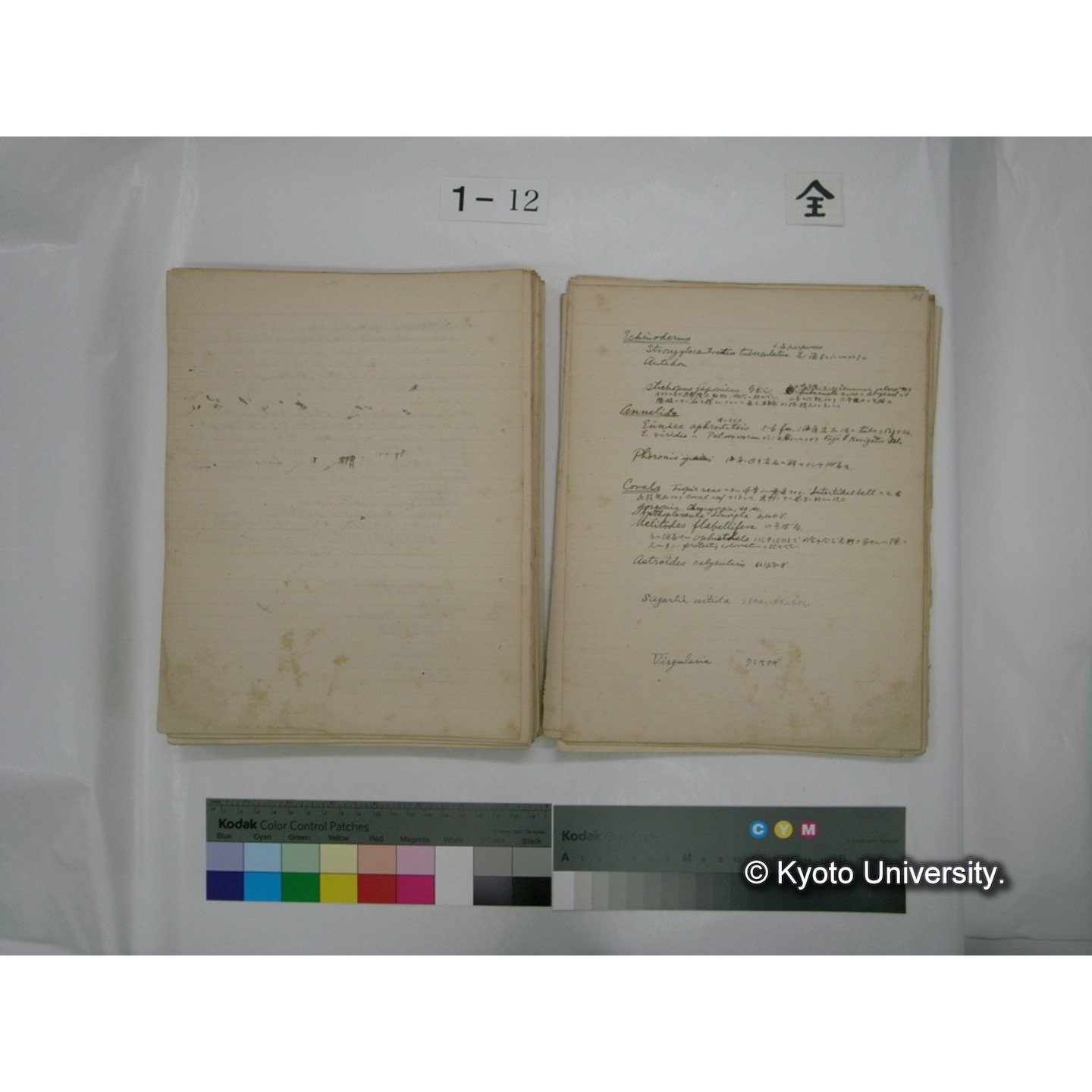 (水生生物) [直筆原稿] / (川村多實二) (123)