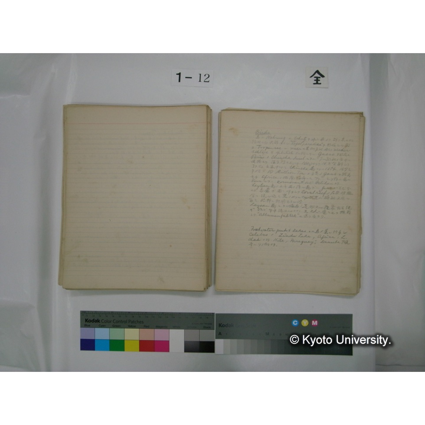 (水生生物) [直筆原稿] / (川村多實二) (127)