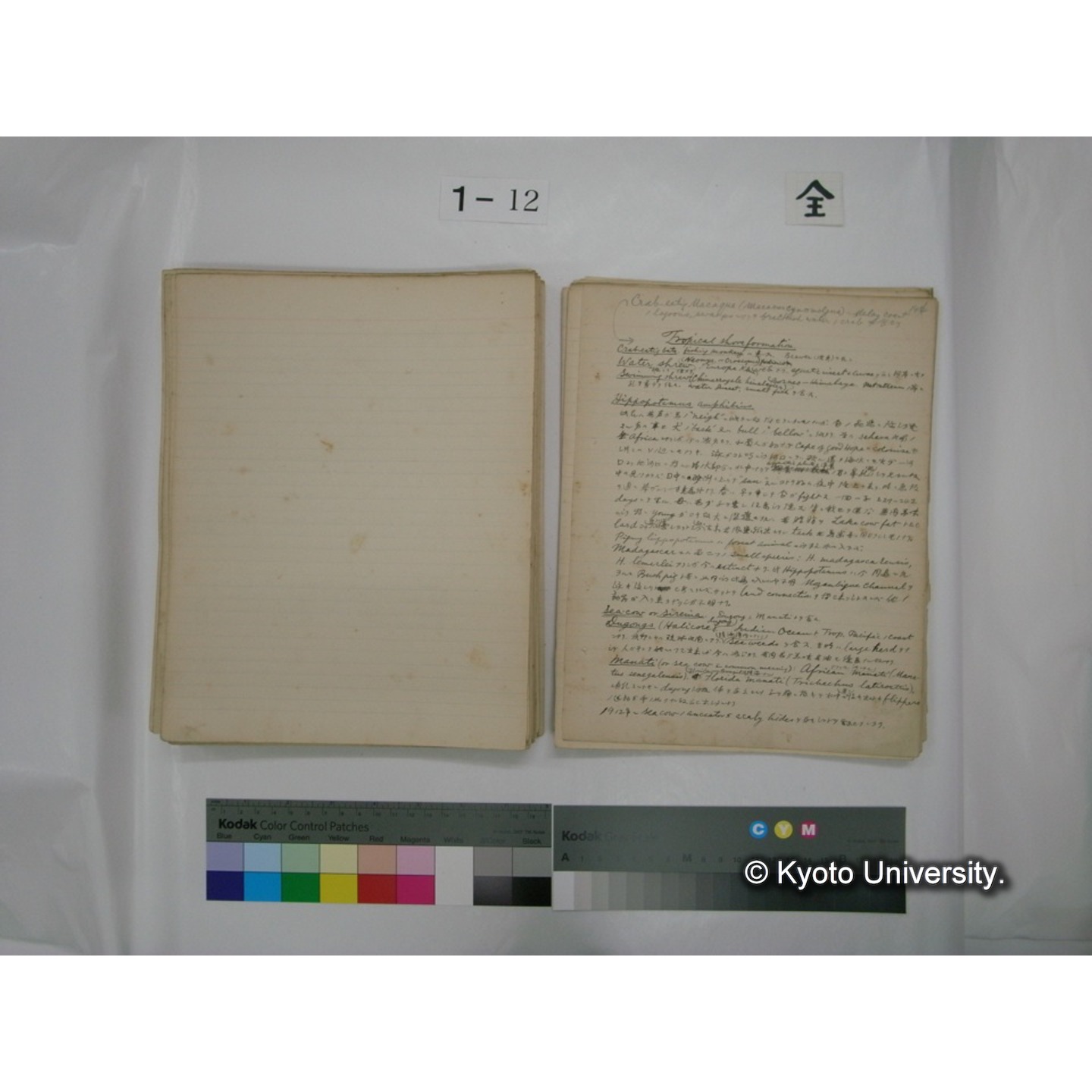 (水生生物) [直筆原稿] / (川村多實二) (128)