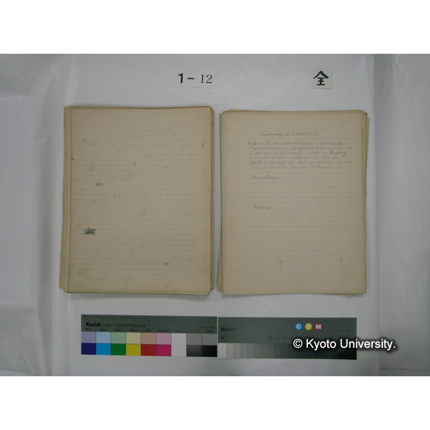 (水生生物) [直筆原稿] / (川村多實二) (129)