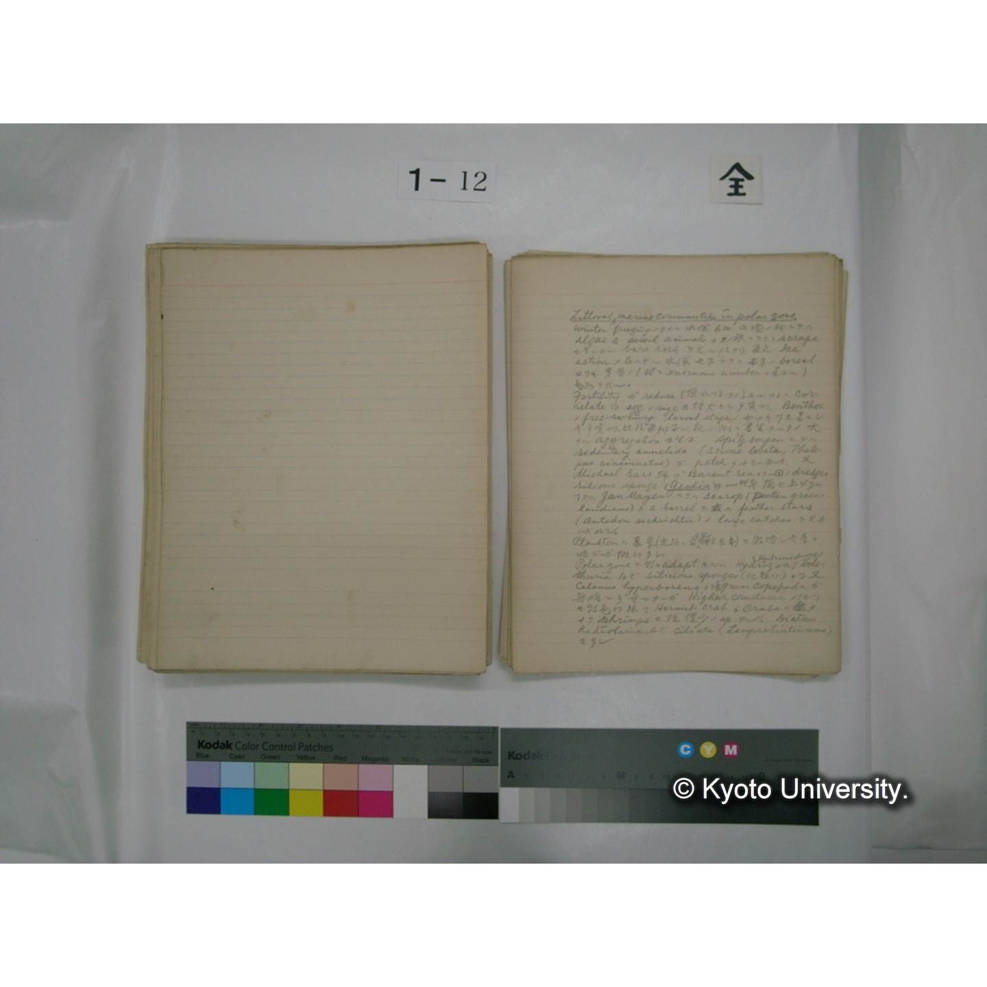 (水生生物) [直筆原稿] / (川村多實二) (130)