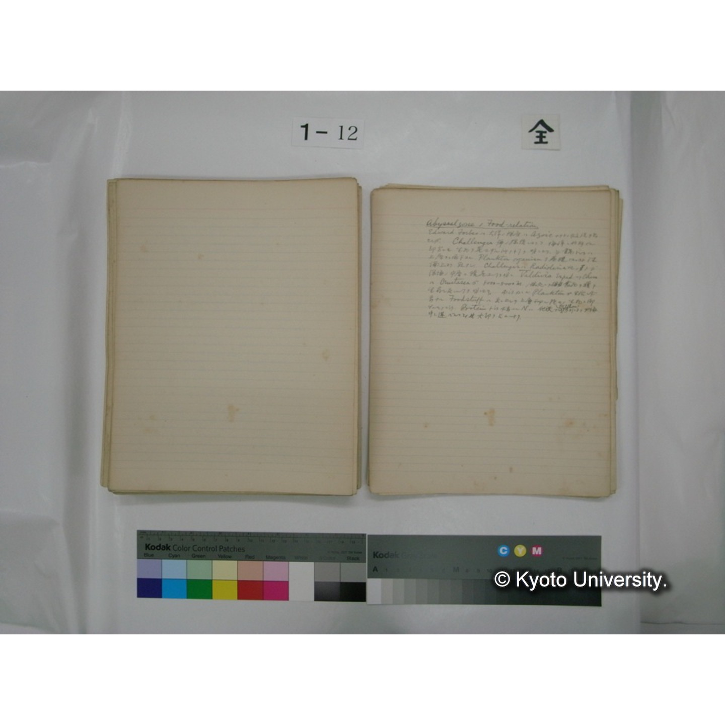 (水生生物) [直筆原稿] / (川村多實二) (131)