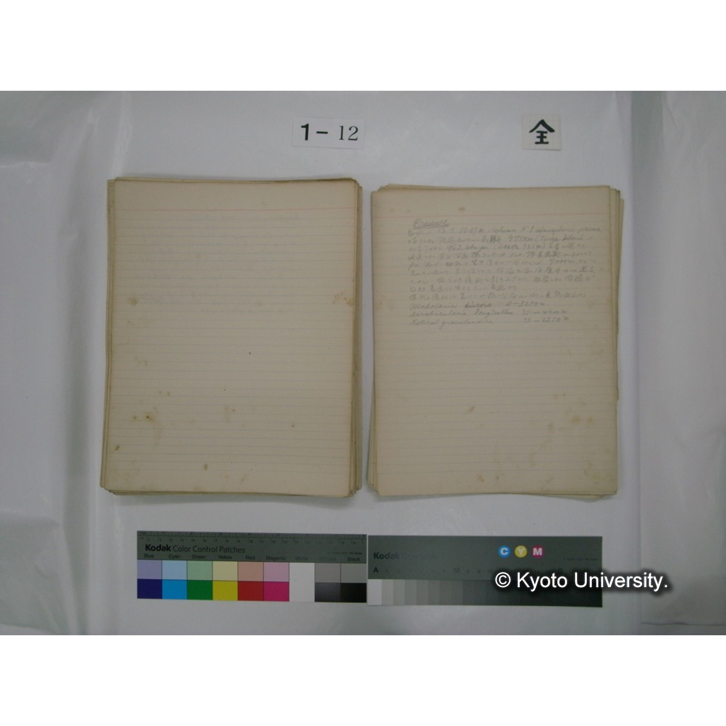 (水生生物) [直筆原稿] / (川村多實二) (132)