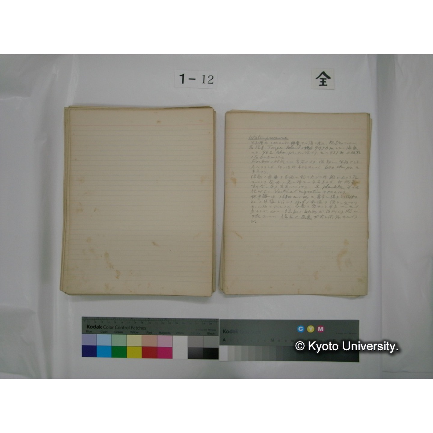 (水生生物) [直筆原稿] / (川村多實二) (133)