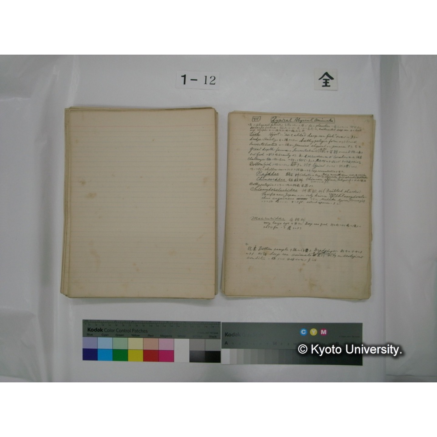 (水生生物) [直筆原稿] / (川村多實二) (134)