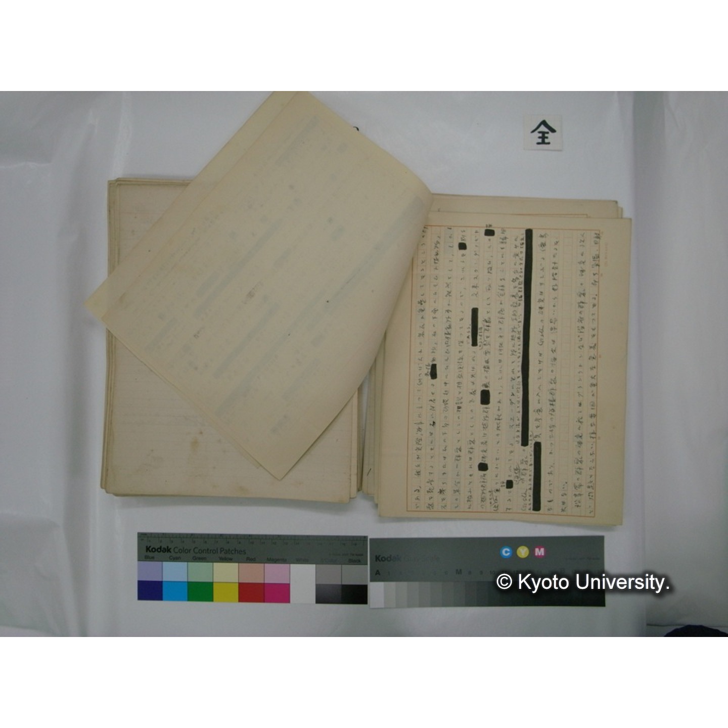 (水生生物) [直筆原稿] / (川村多實二) (137)