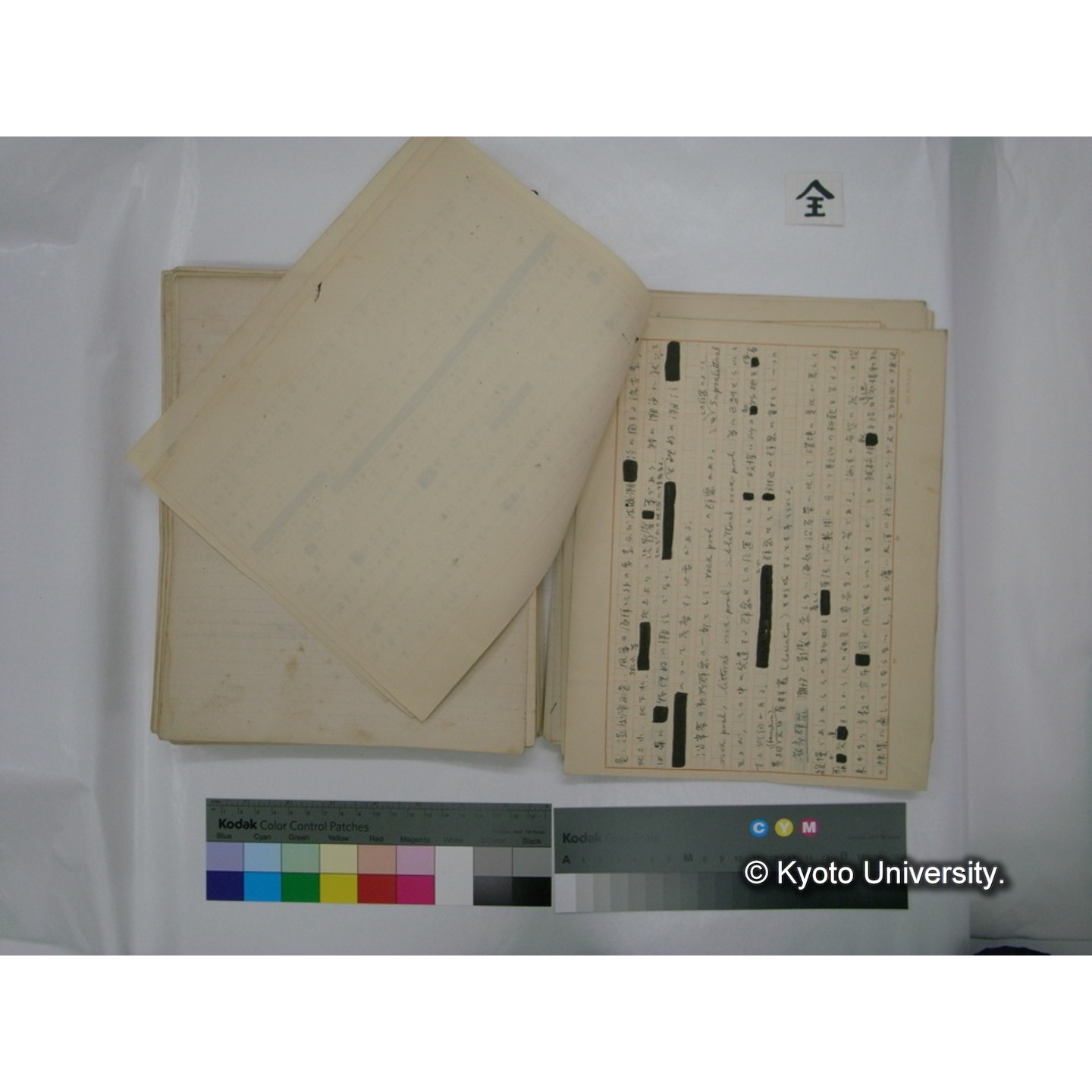 (水生生物) [直筆原稿] / (川村多實二) (138)