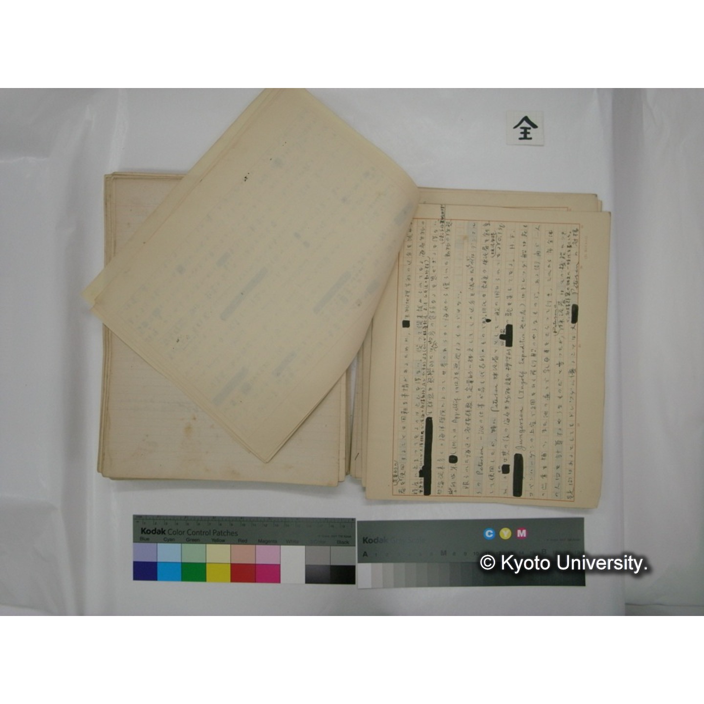 (水生生物) [直筆原稿] / (川村多實二) (139)