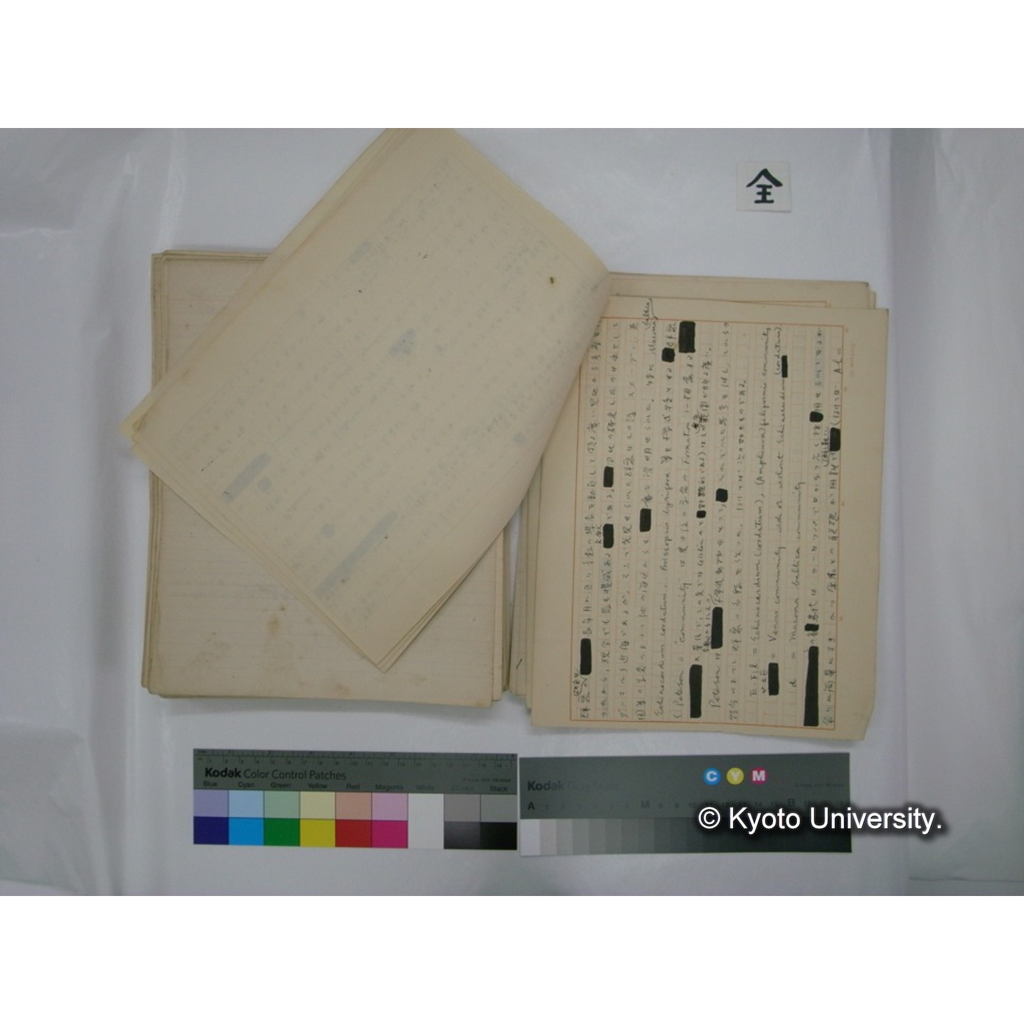 (水生生物) [直筆原稿] / (川村多實二) (140)