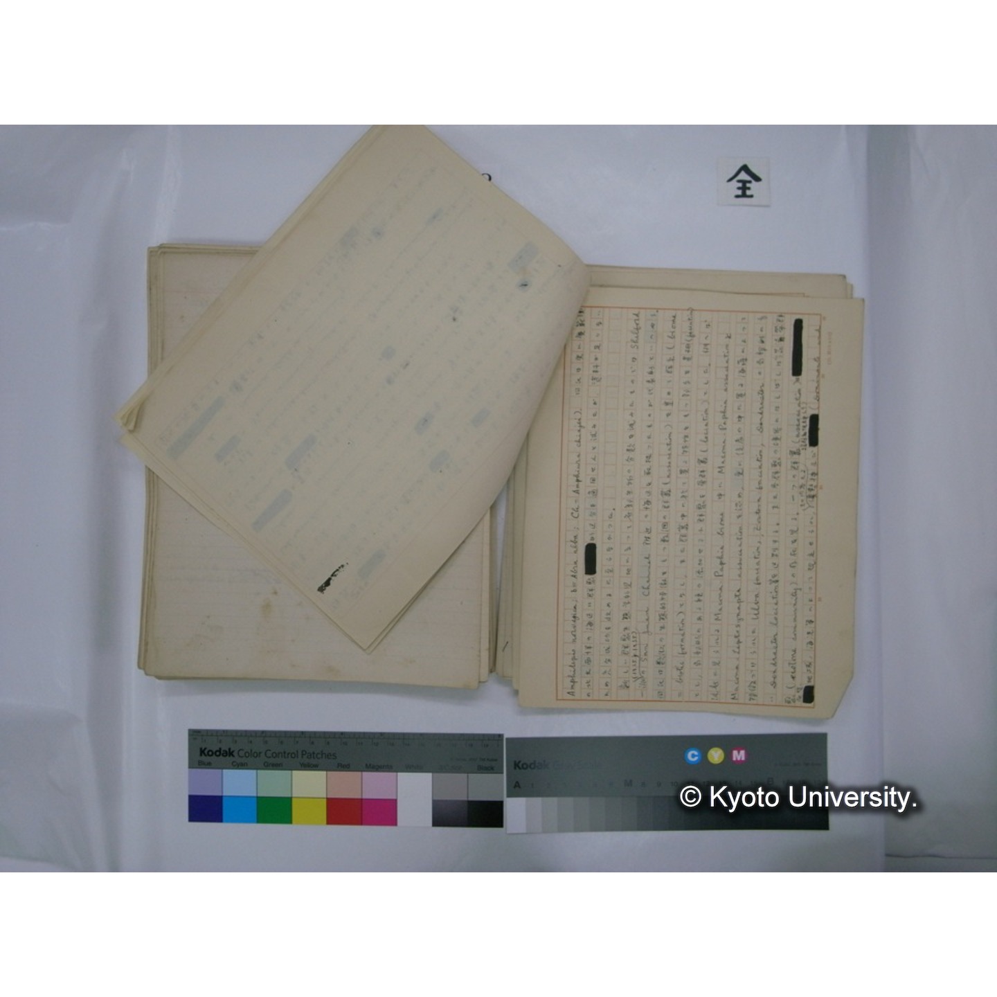 (水生生物) [直筆原稿] / (川村多實二) (141)