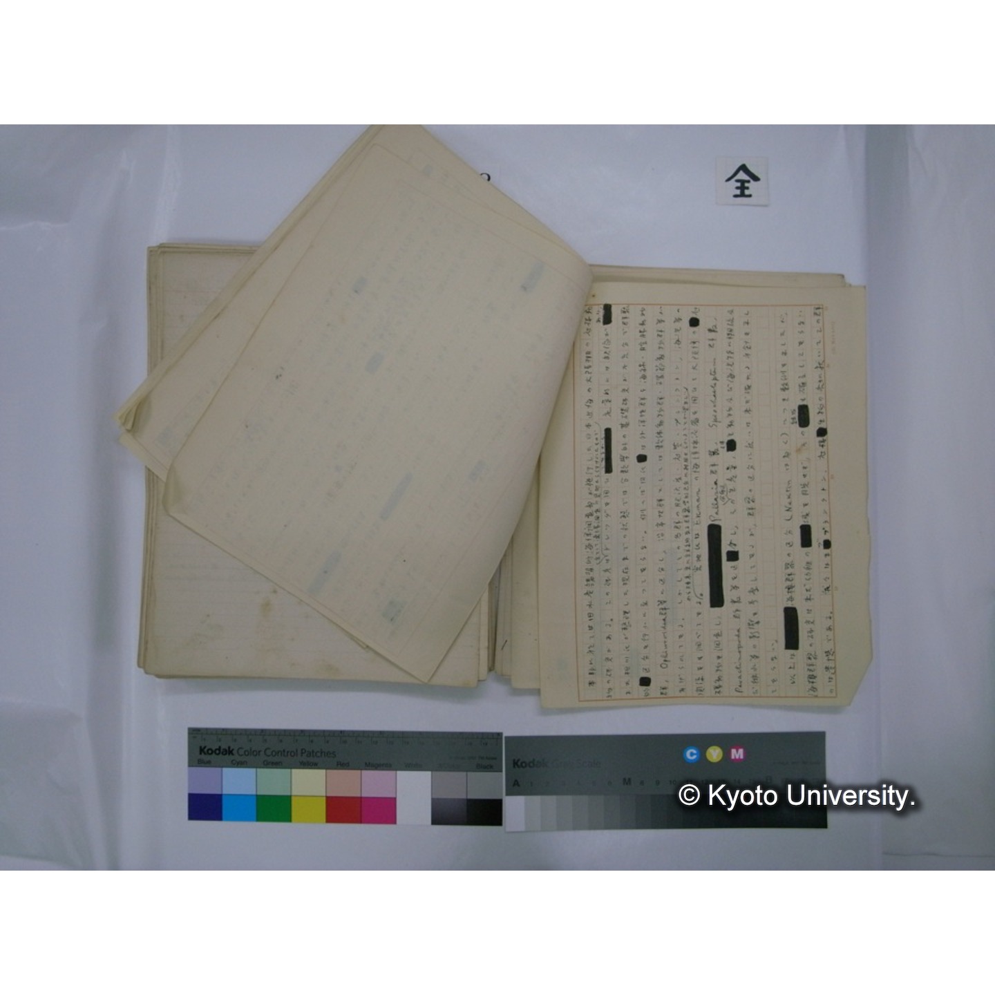 (水生生物) [直筆原稿] / (川村多實二) (143)