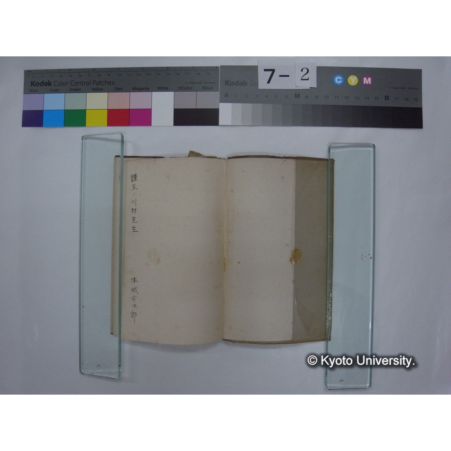 動物の感覚生活 / 本城市次郎著 (2)