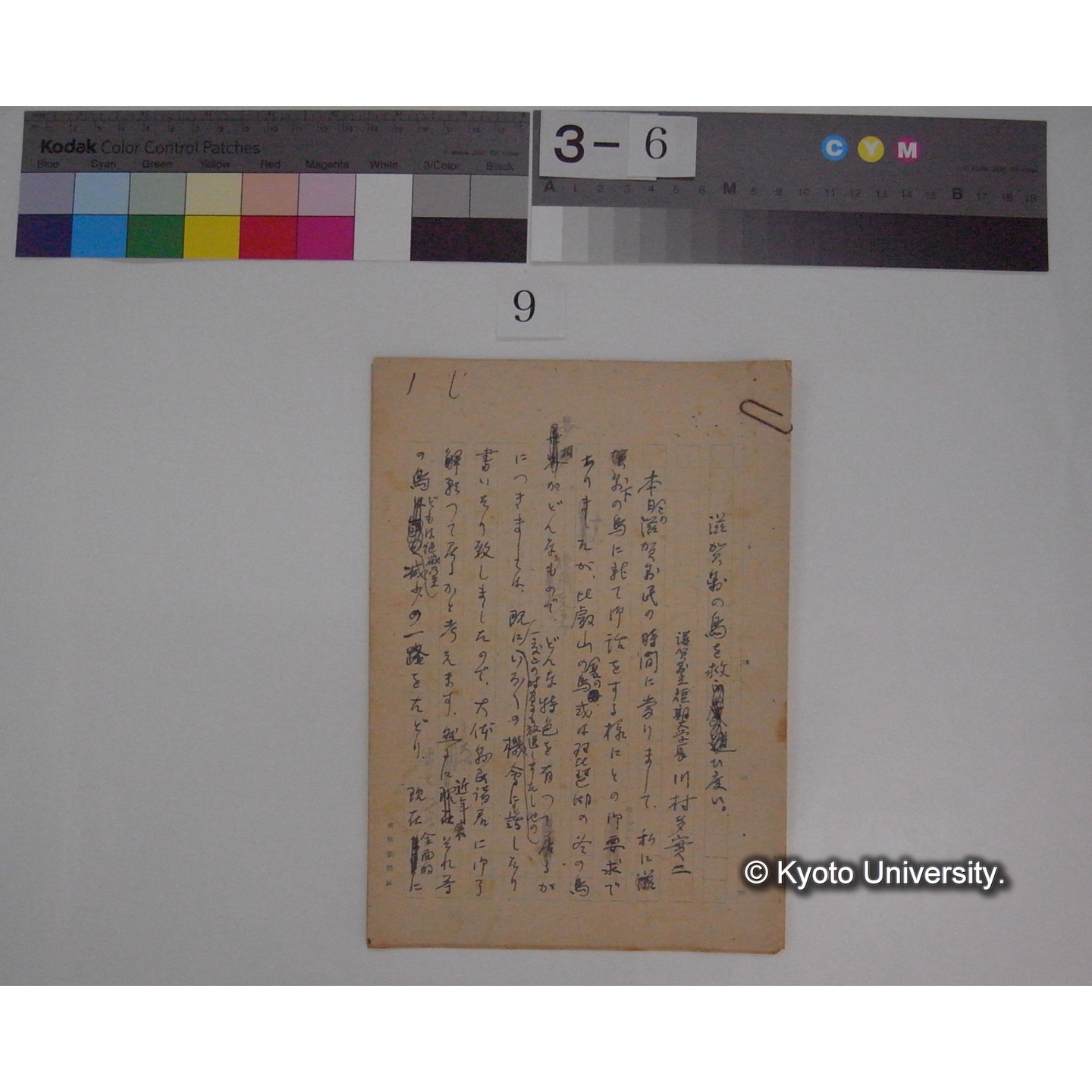 滋賀県の鳥を救い度い / 川村多實二 [直筆原稿] (1)