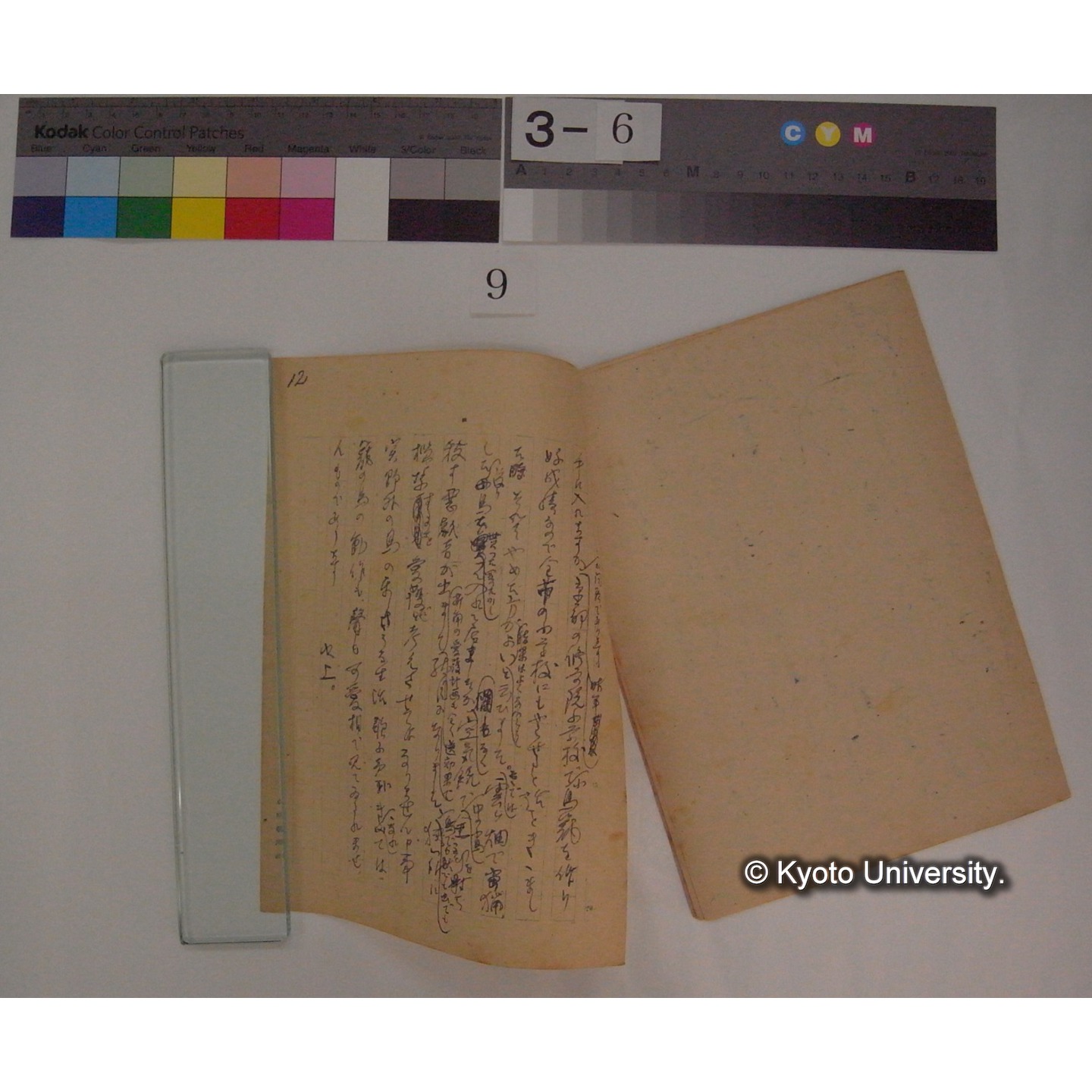 滋賀県の鳥を救い度い / 川村多實二 [直筆原稿] (2)