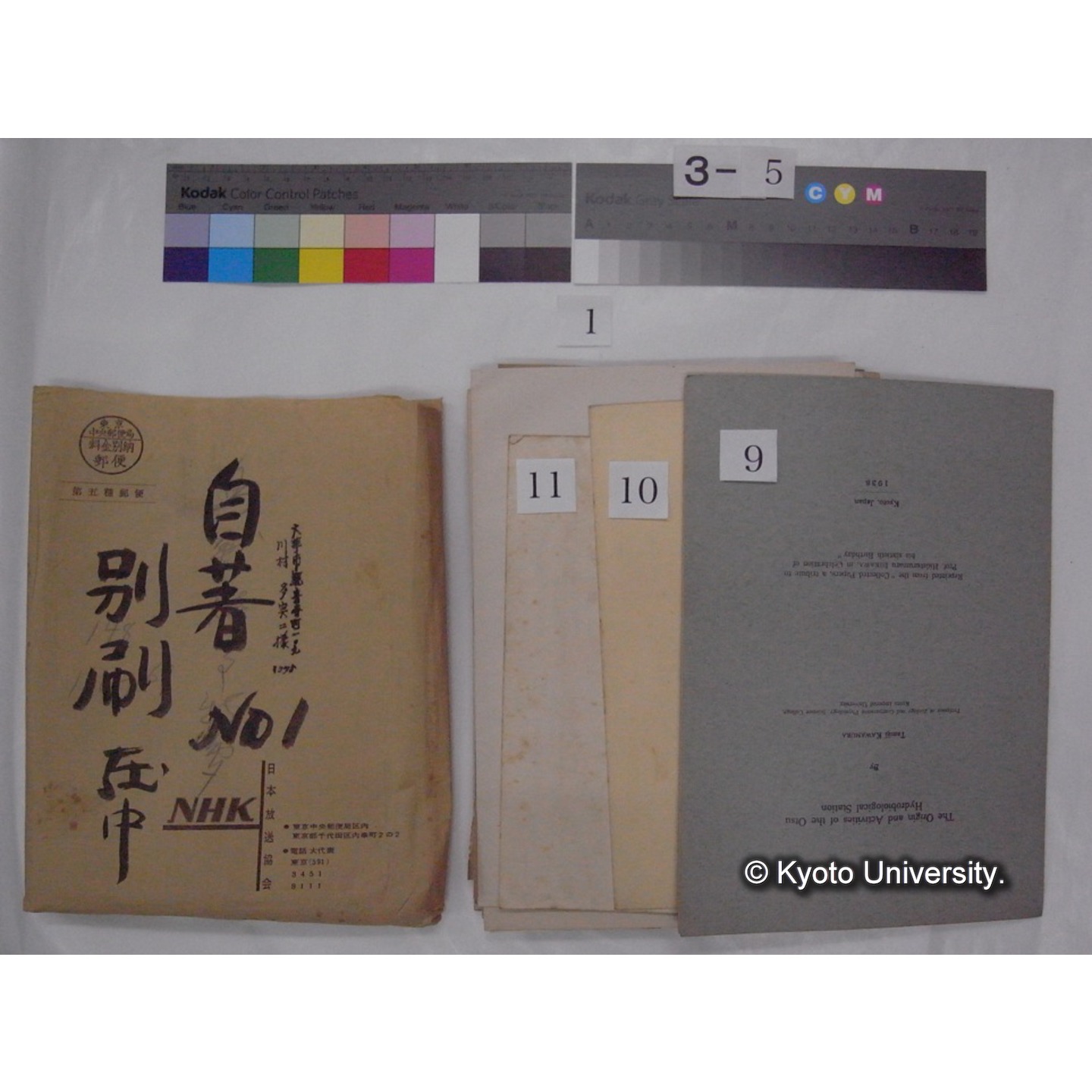 別刷・抜刷等 (「自著No.1/別刷在中」) (13)