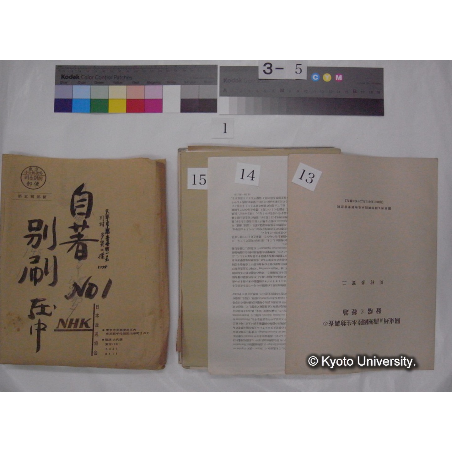 別刷・抜刷等 (「自著No.1/別刷在中」) (21)