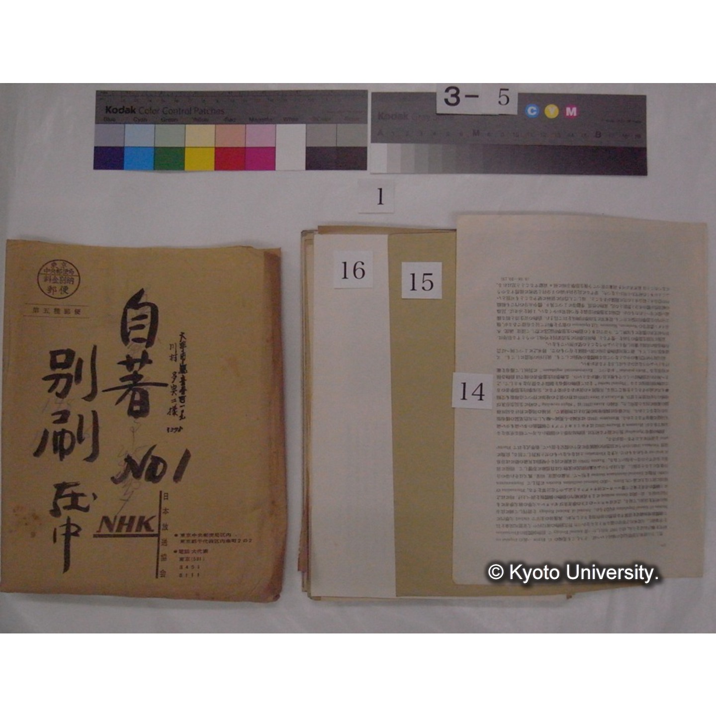 別刷・抜刷等 (「自著No.1/別刷在中」) (22)