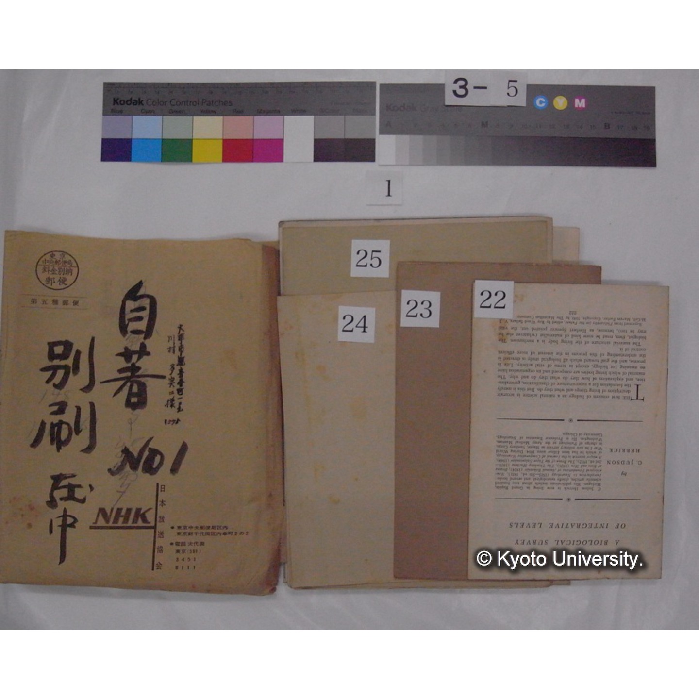 別刷・抜刷等 (「自著No.1/別刷在中」) (39)