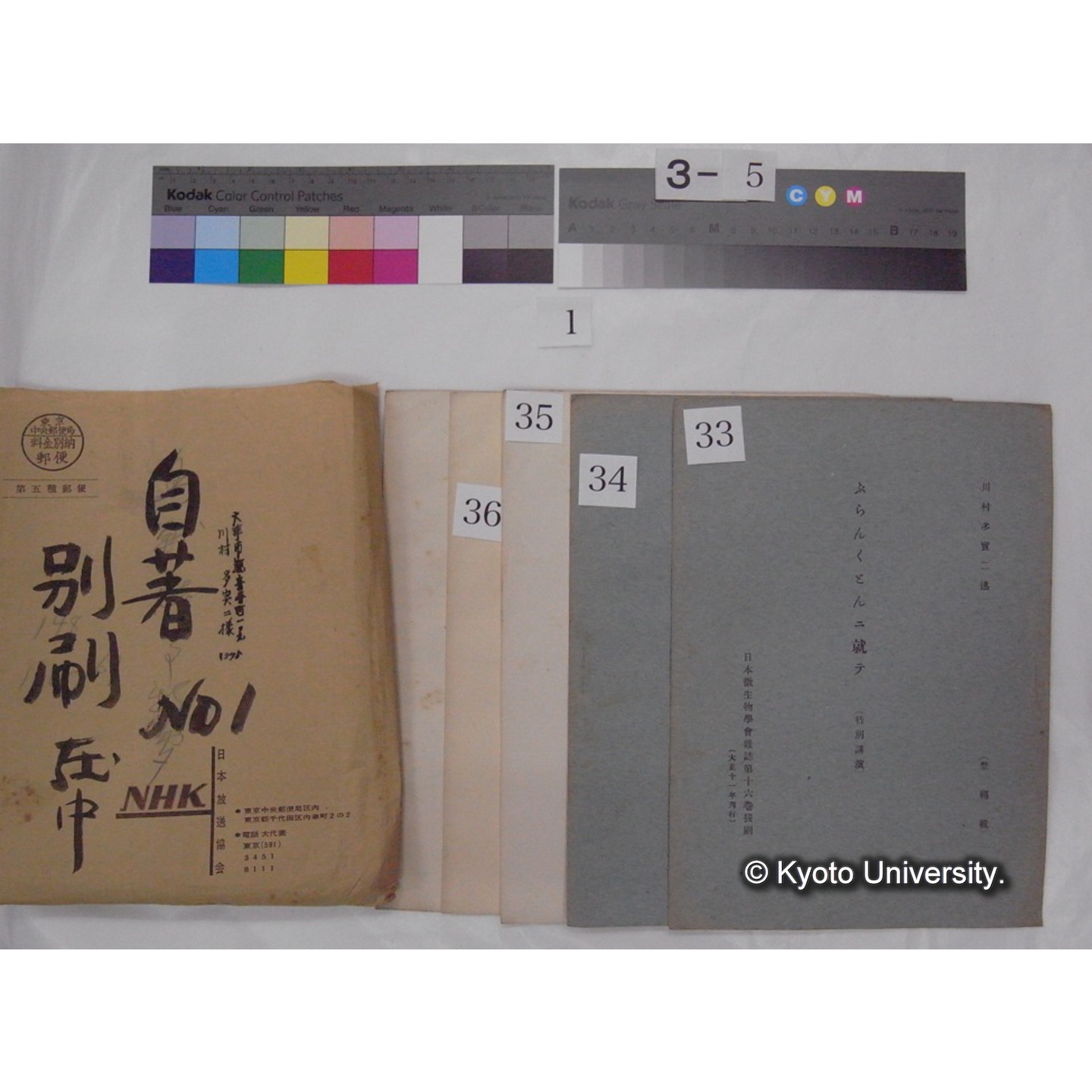 別刷・抜刷等 (「自著No.1/別刷在中」) (55)