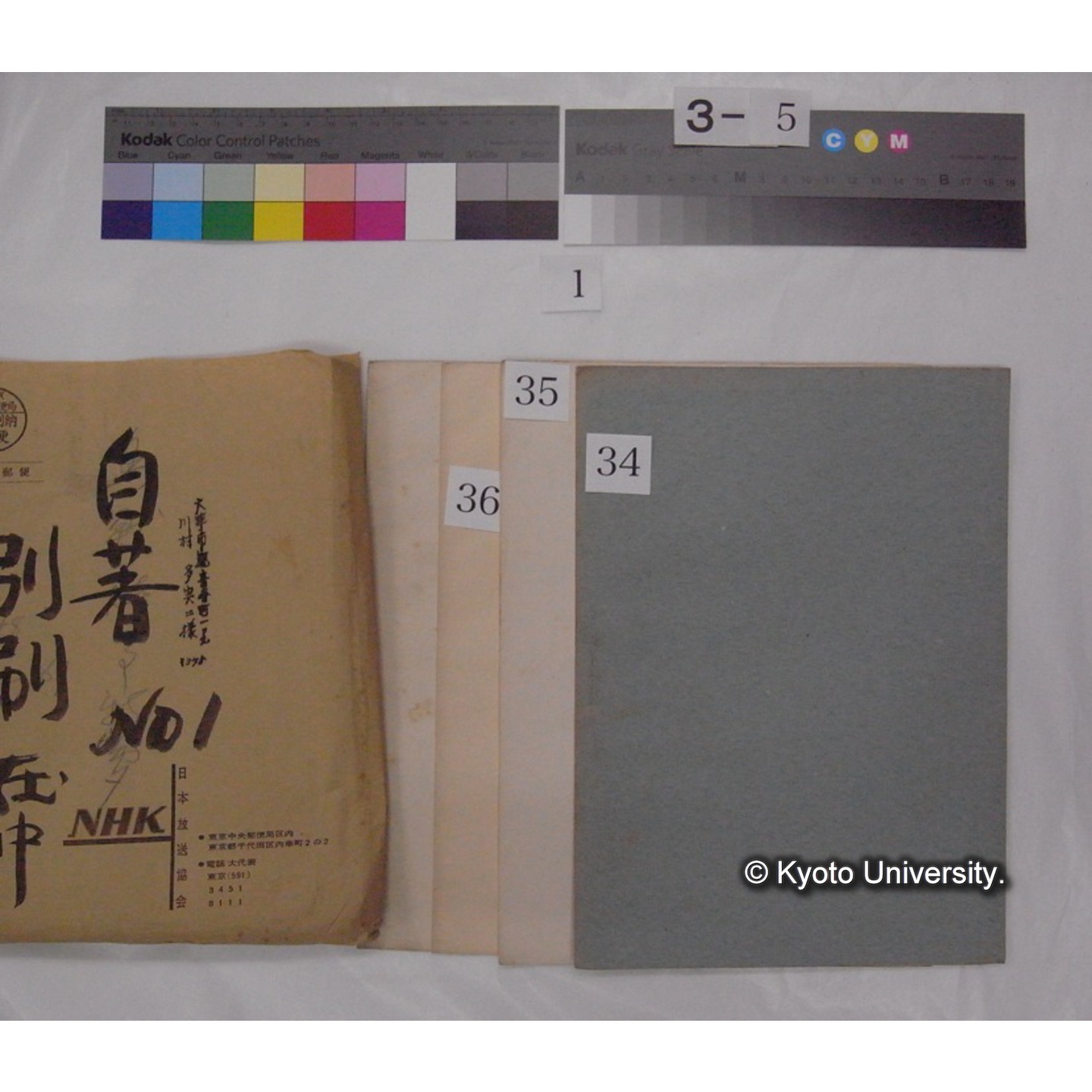 別刷・抜刷等 (「自著No.1/別刷在中」) (56)