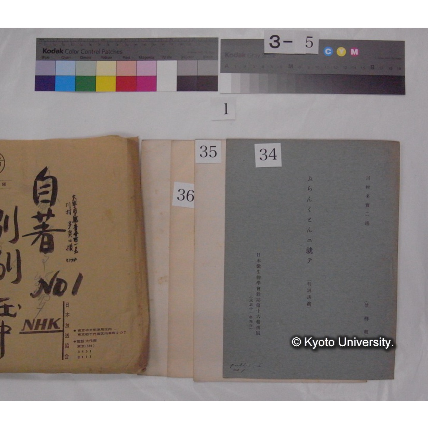 別刷・抜刷等 (「自著No.1/別刷在中」) (57)