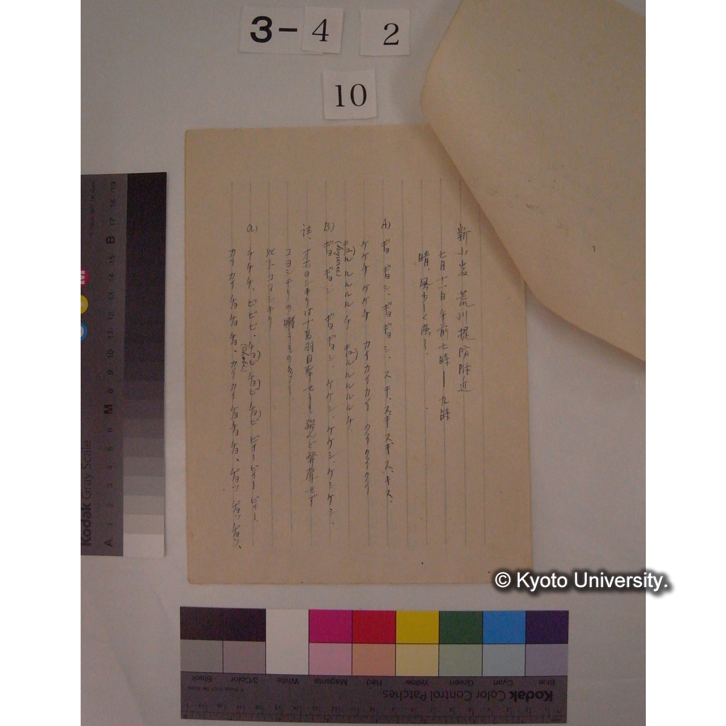 オオヨシキリ鳴声採集 : 附コヨシキリ / 白井邦彦採録 (2)