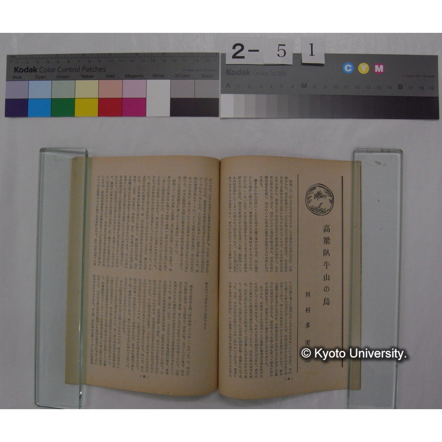 高梁川 (5号) / 高梁川流域連盟 (3)