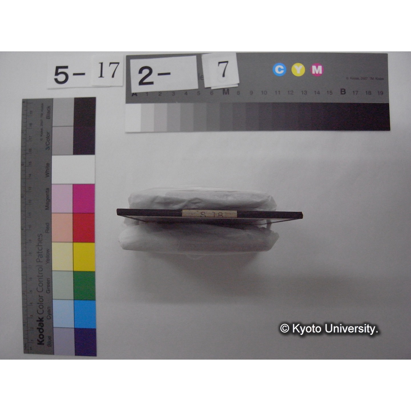 スライド(ガラス種板): S18 Collection in 'Untersee zu Lunz'. (2)