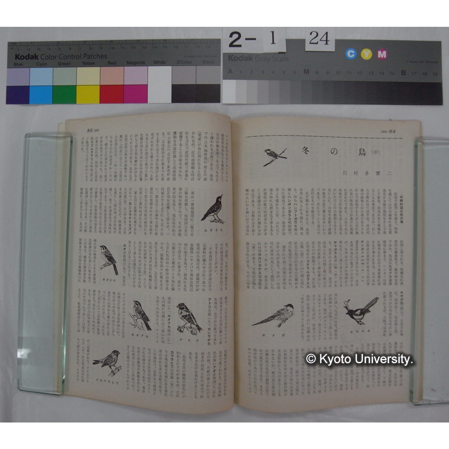 経済人 : HOMOECONOMICUS (14巻2号,昭和35.2) / 関西経済連合会刊 (3)