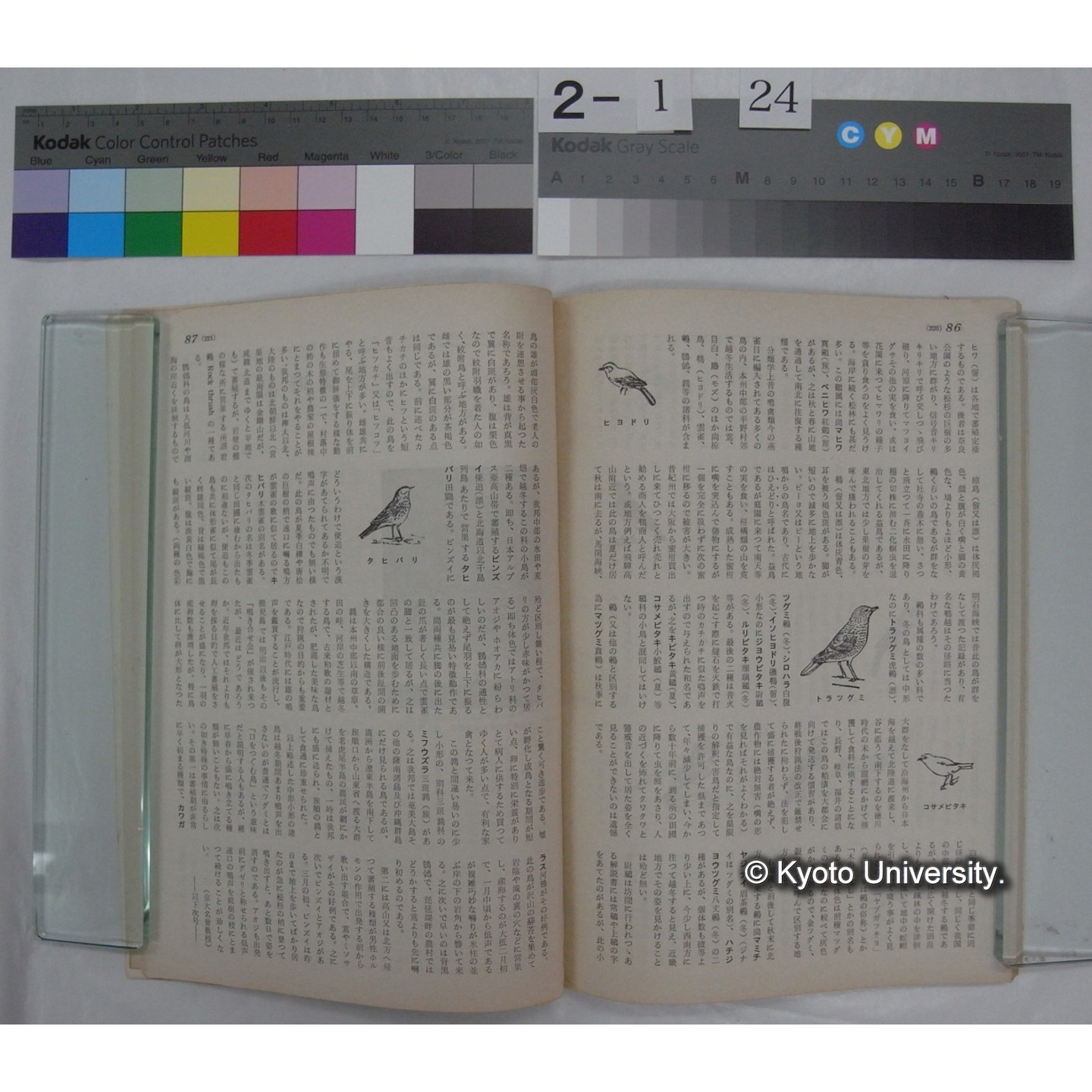 経済人 : HOMOECONOMICUS (14巻2号,昭和35.2) / 関西経済連合会刊 (4)