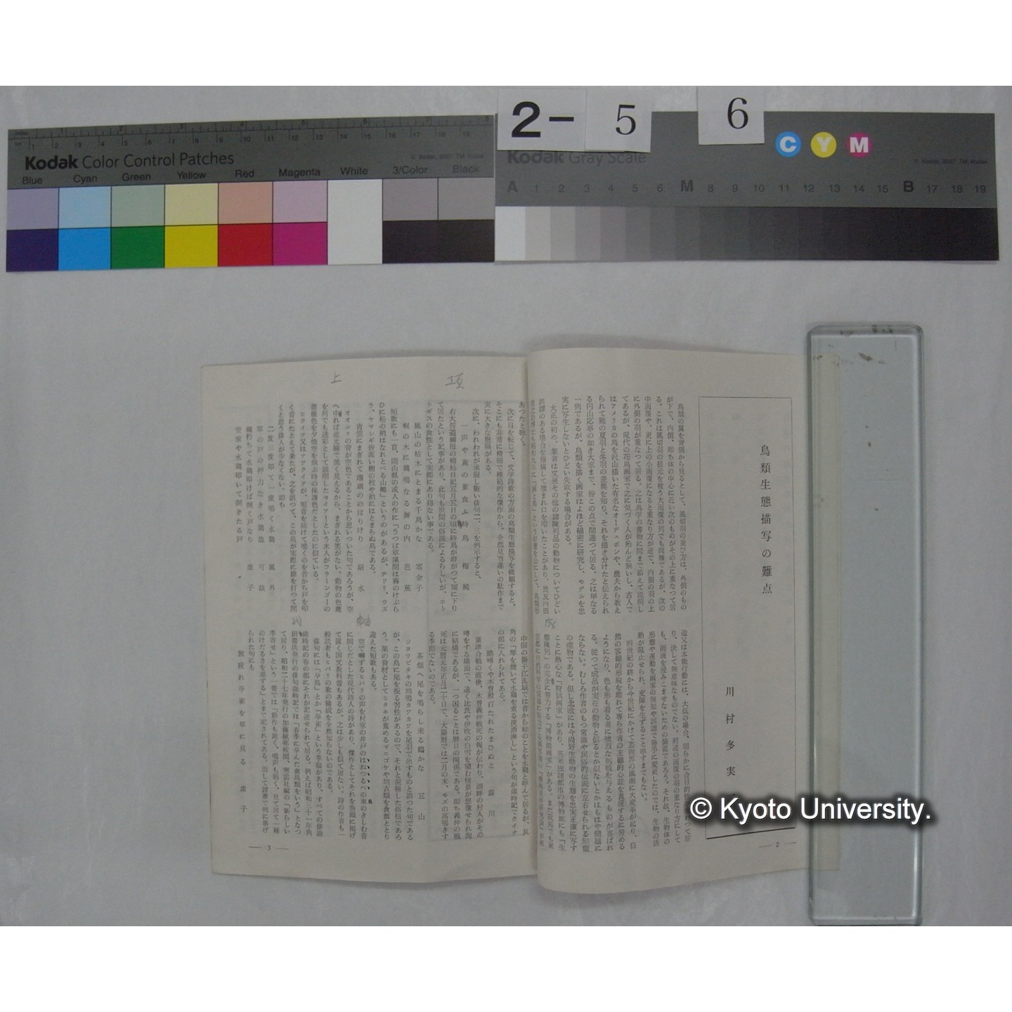 氷下魚 (322号,昭和36.7) (3)