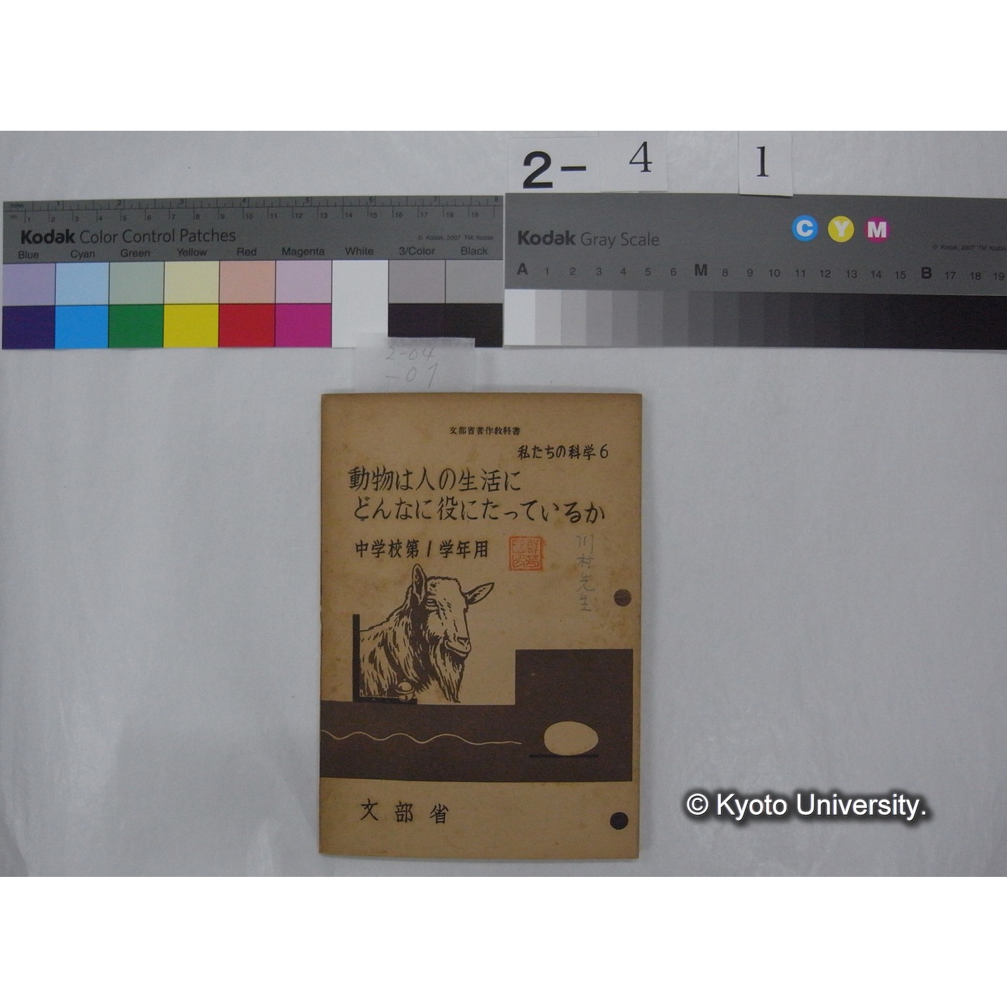 動物は人の生活にどんなに役にたっているか : 中学校第1学年用 / 文部省 (私たちの科学; 6 ) (1)
