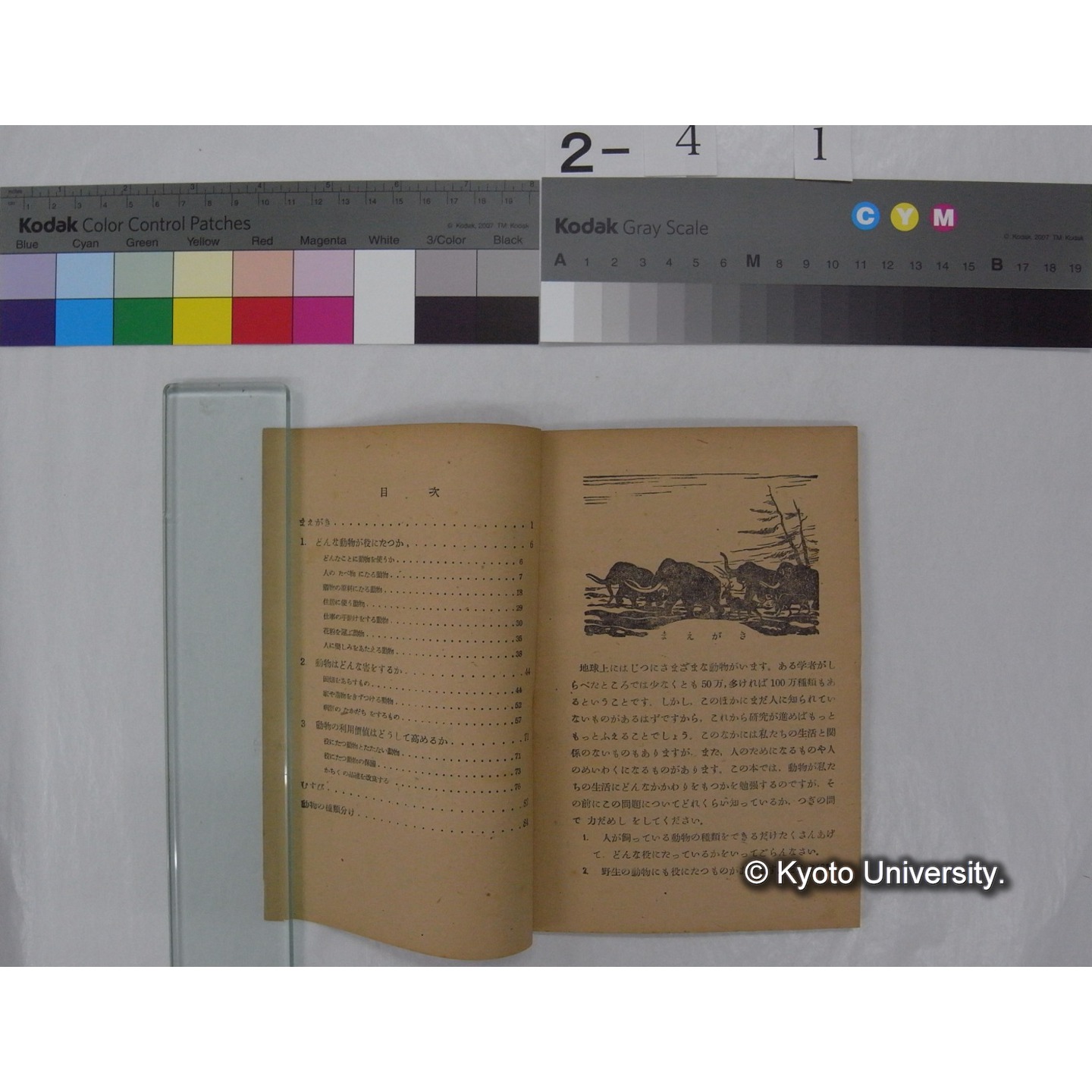 動物は人の生活にどんなに役にたっているか : 中学校第1学年用 / 文部省 (私たちの科学; 6 ) (2)
