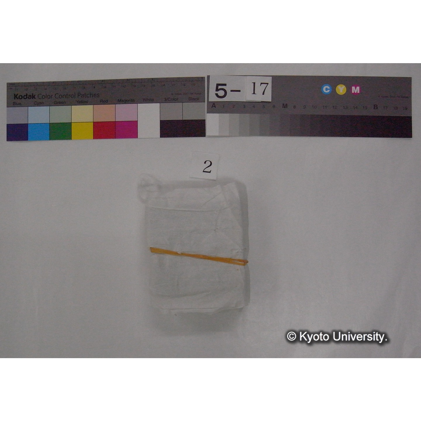 スライド(ガラス種板) (2)