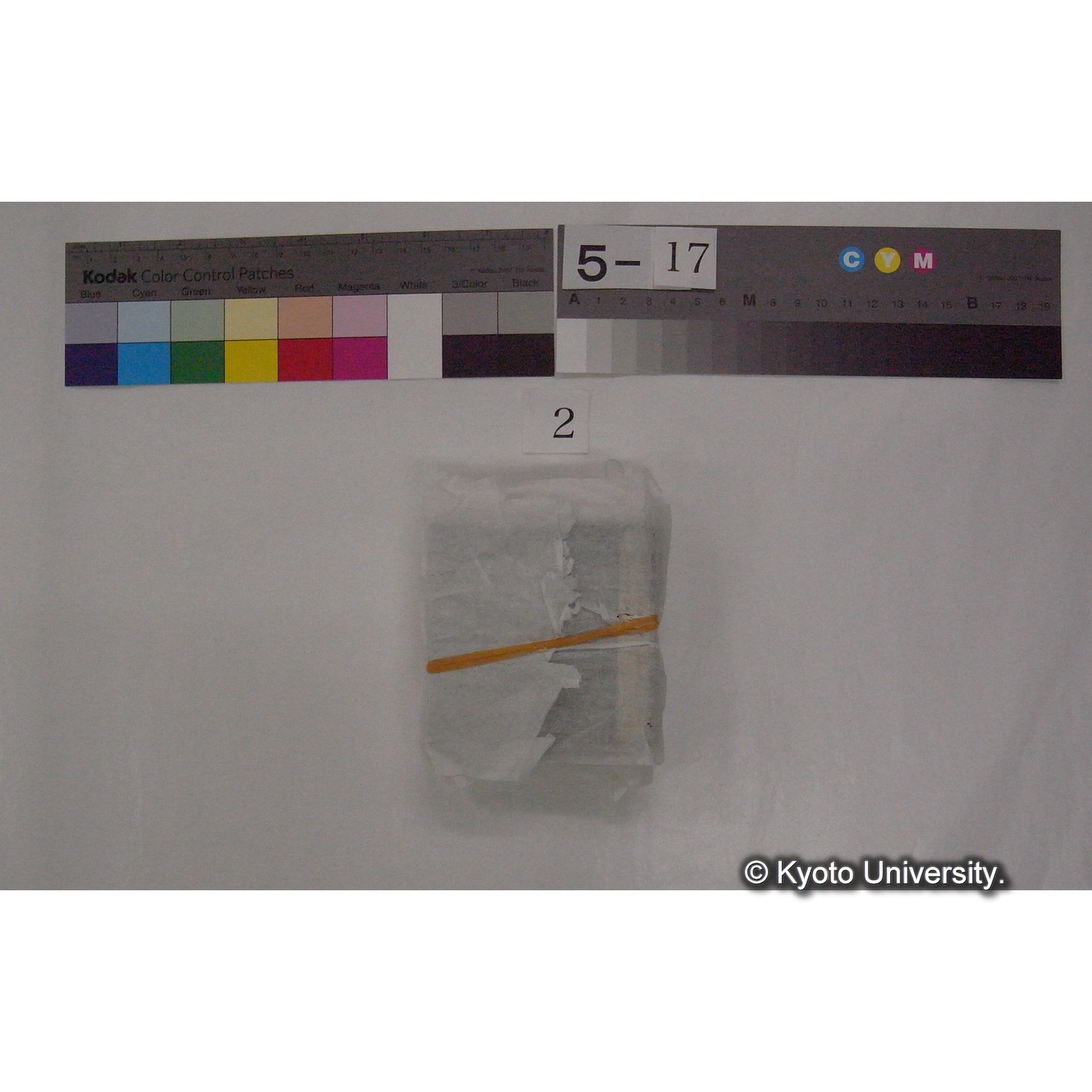 スライド(ガラス種板) (4)