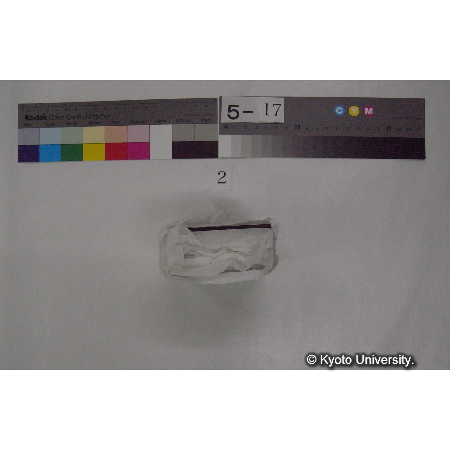 スライド(ガラス種板) (6)