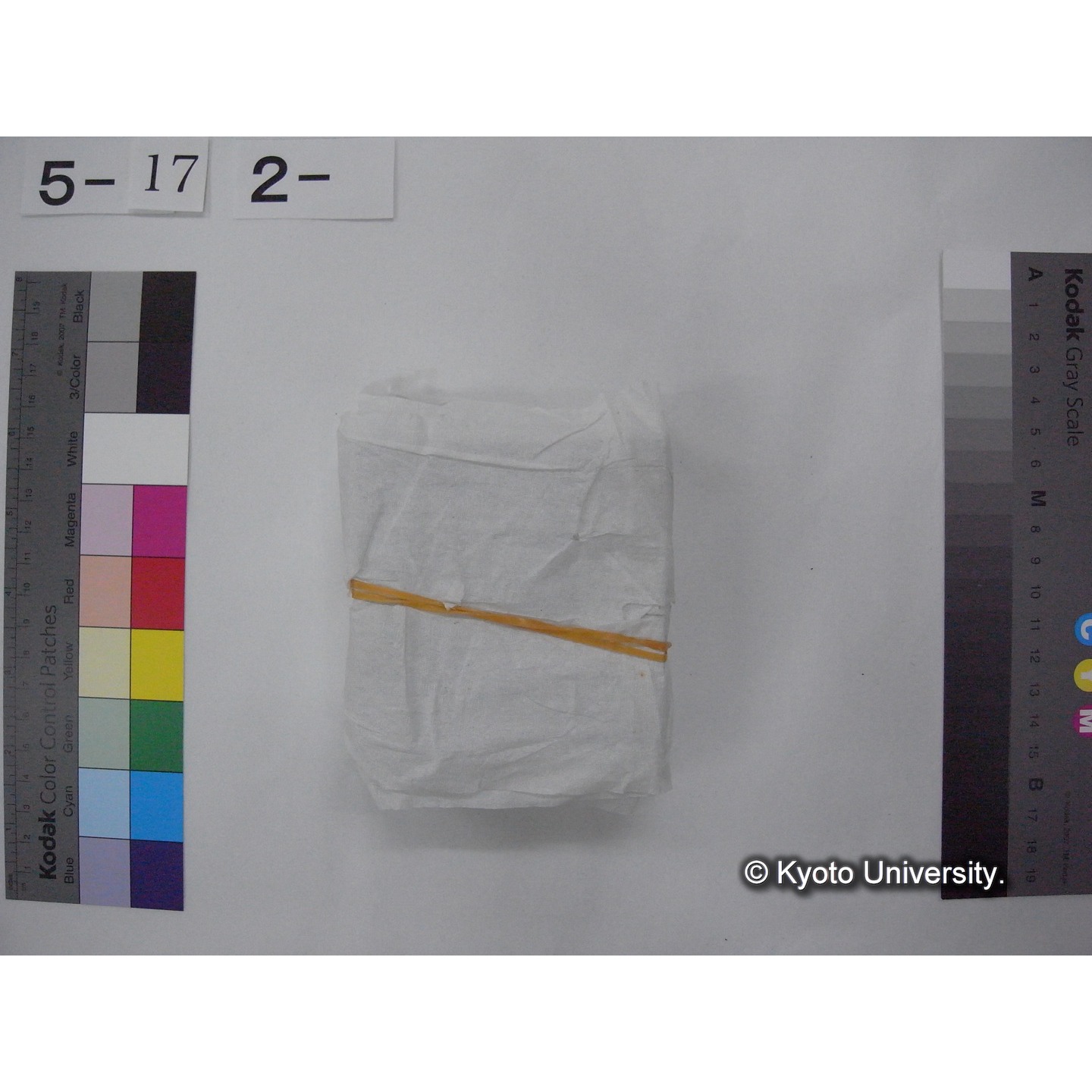 スライド(ガラス種板) (7)