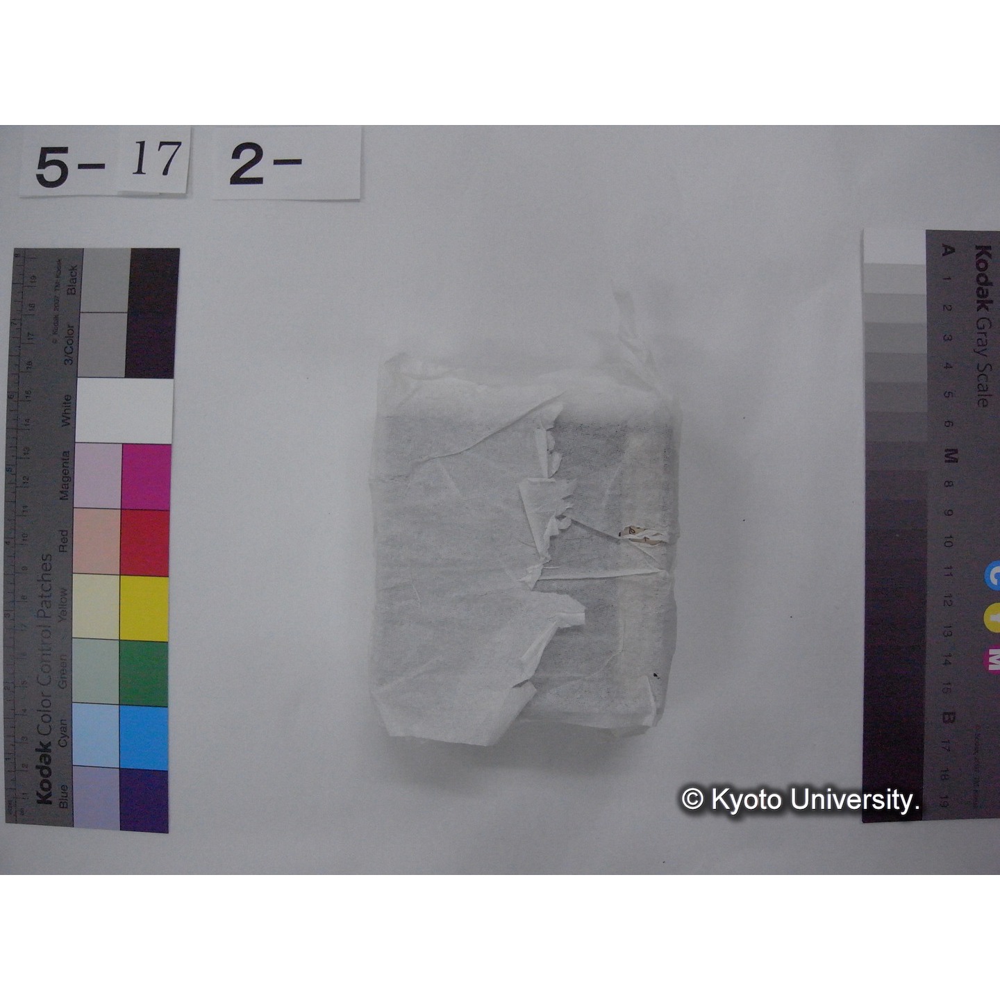 スライド(ガラス種板) (8)