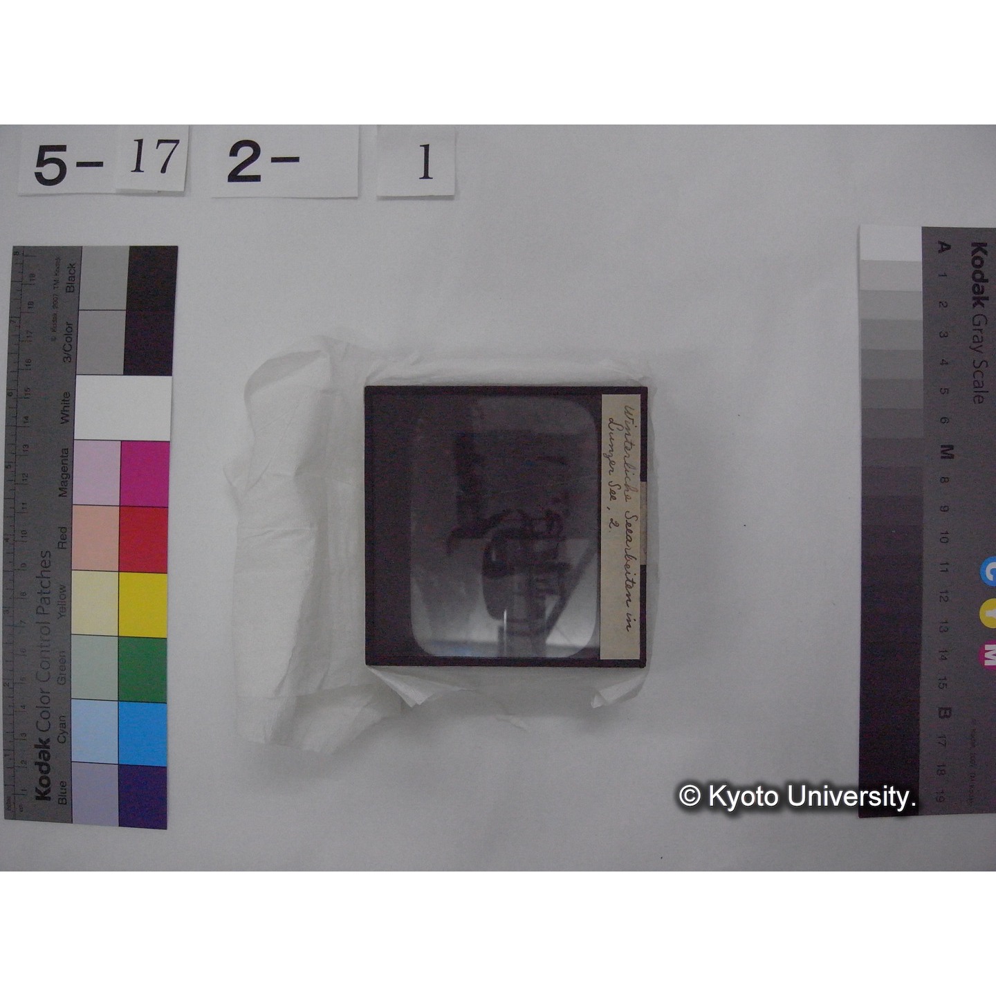 スライド(ガラス種板) (9)