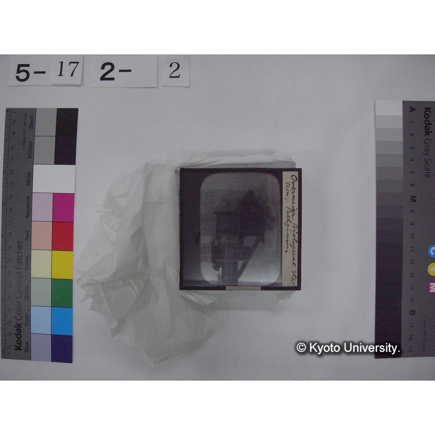 スライド(ガラス種板) (10)